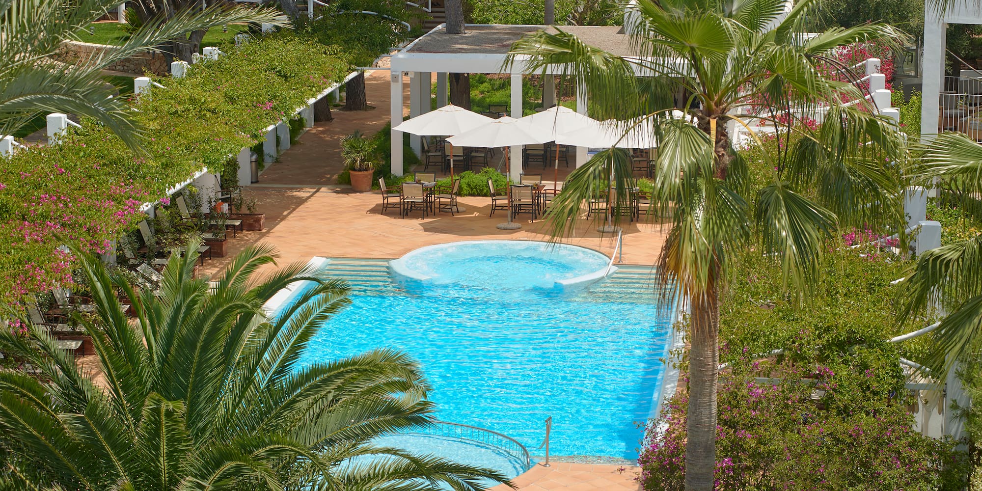 a pool surrounded by palm trees