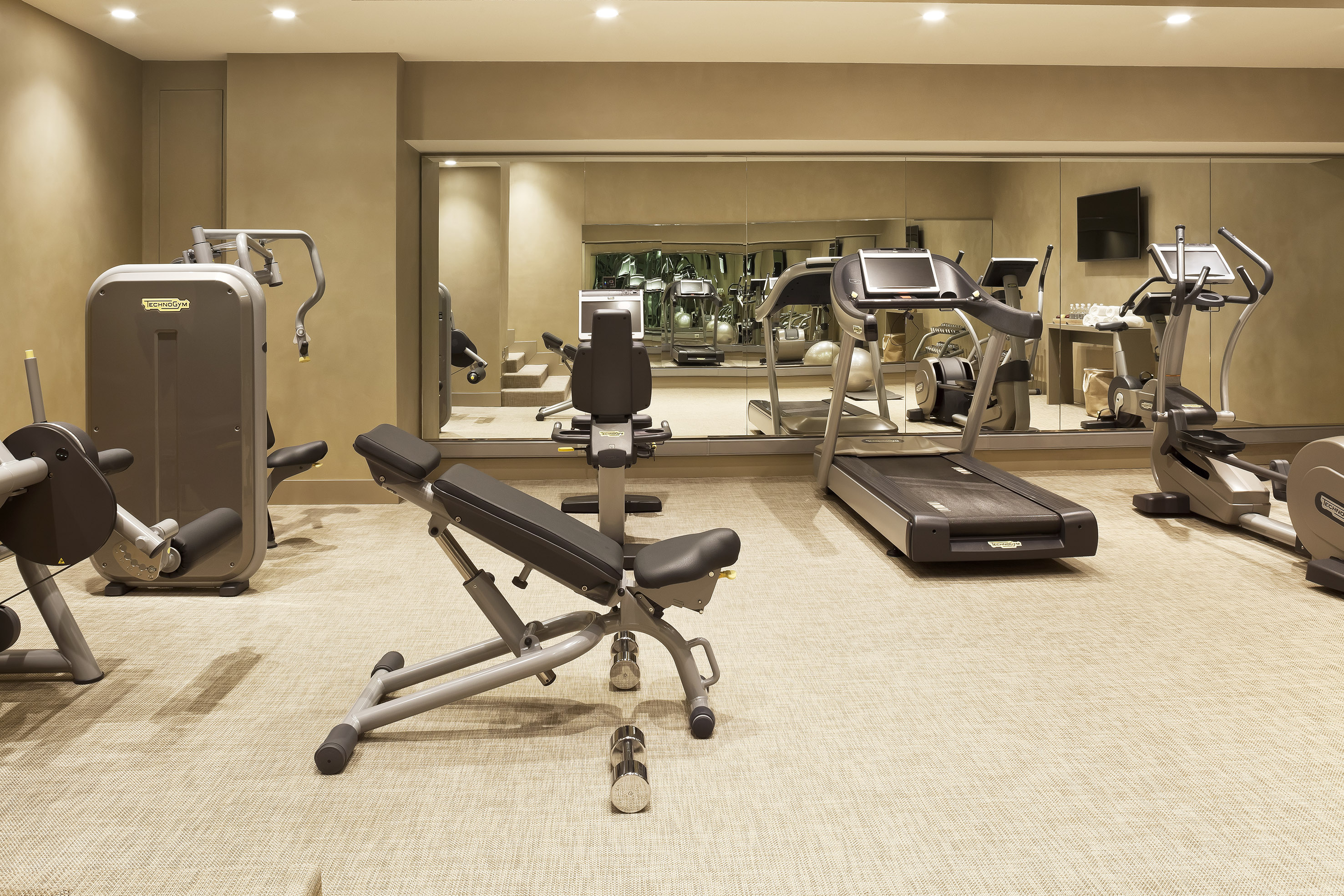 Technogym fitness room with treadmill, elliptical, weight machine, and mirror wall.