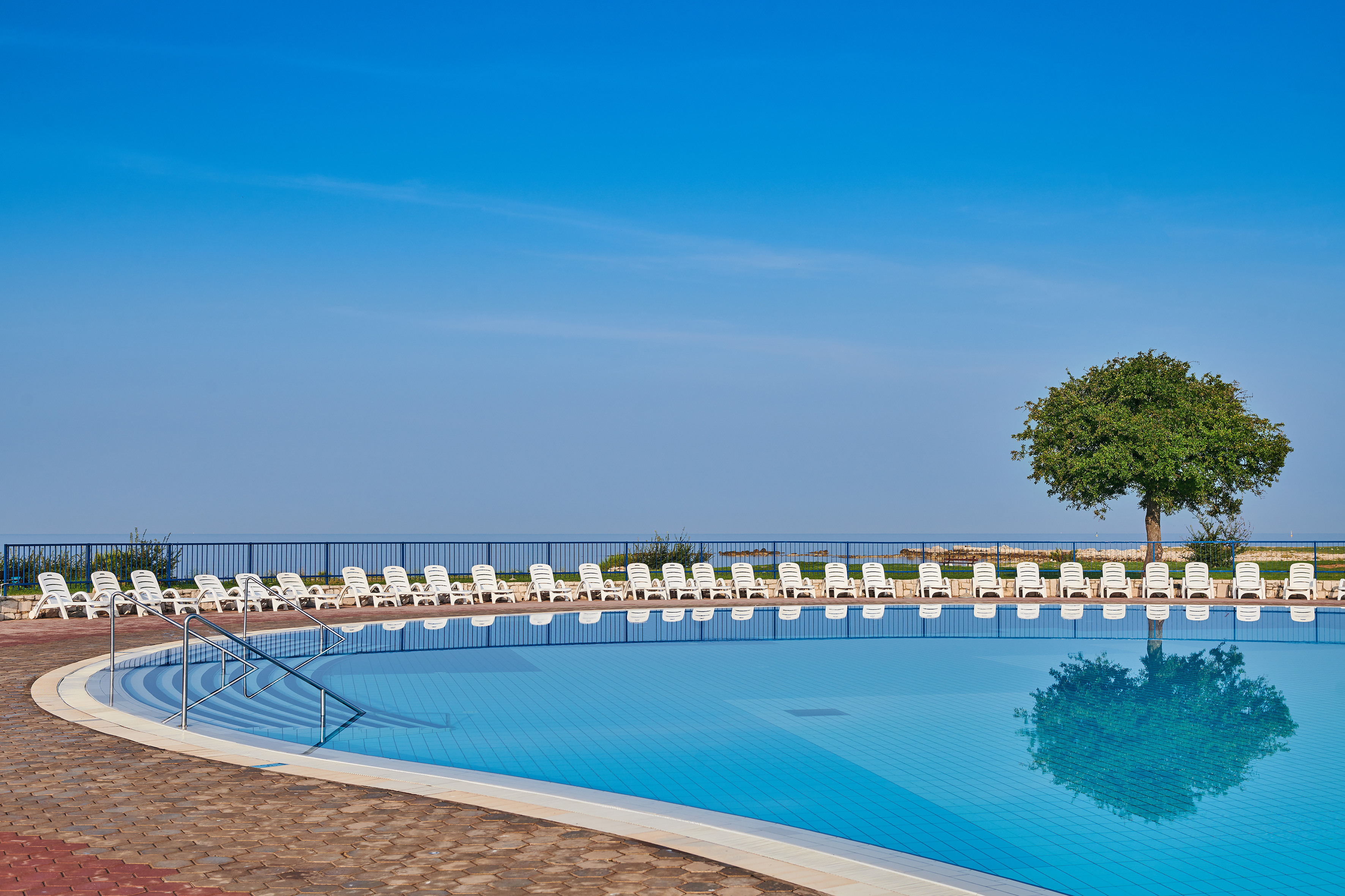 a pool with chairs and a tree