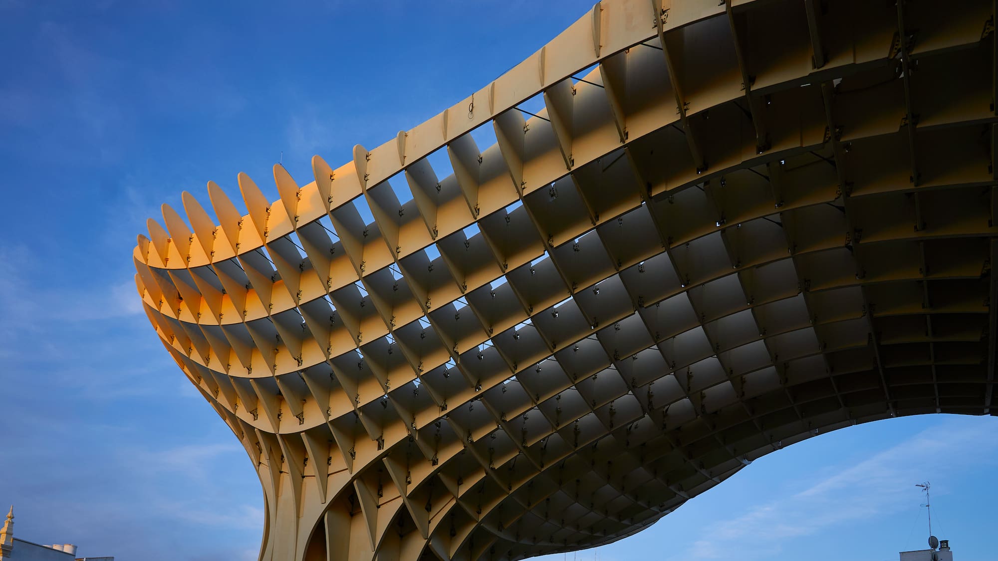 a structure with many windows