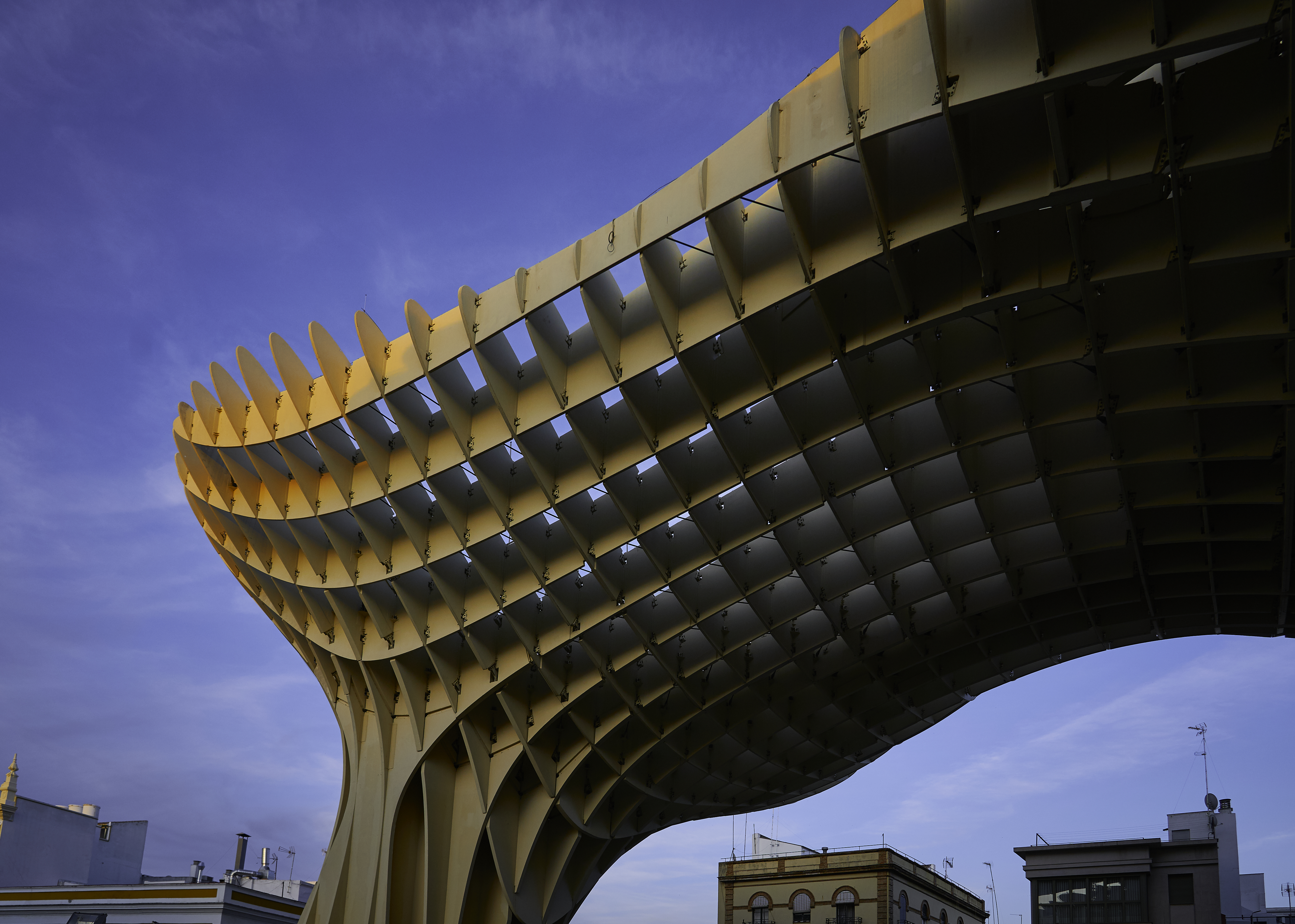 a structure with many windows