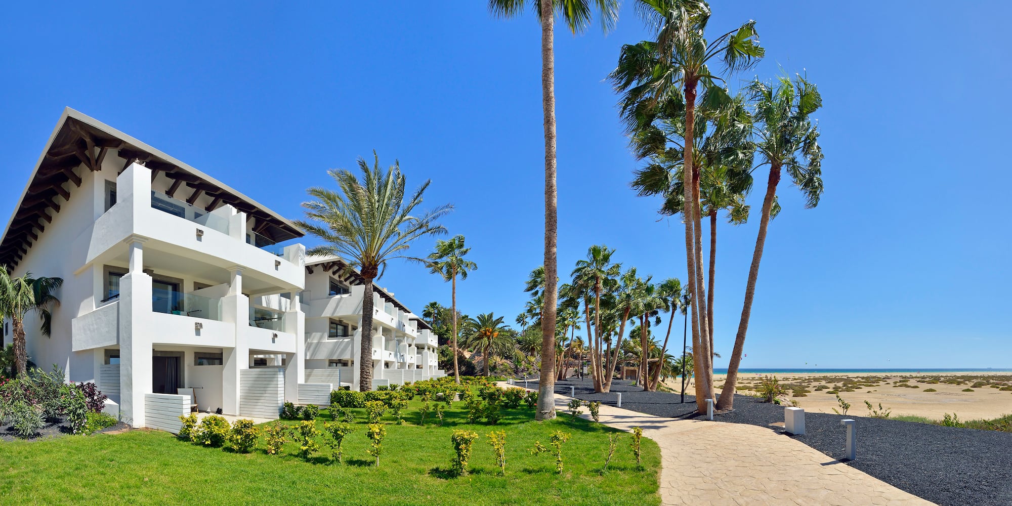 a walkway leading to a building with palm trees