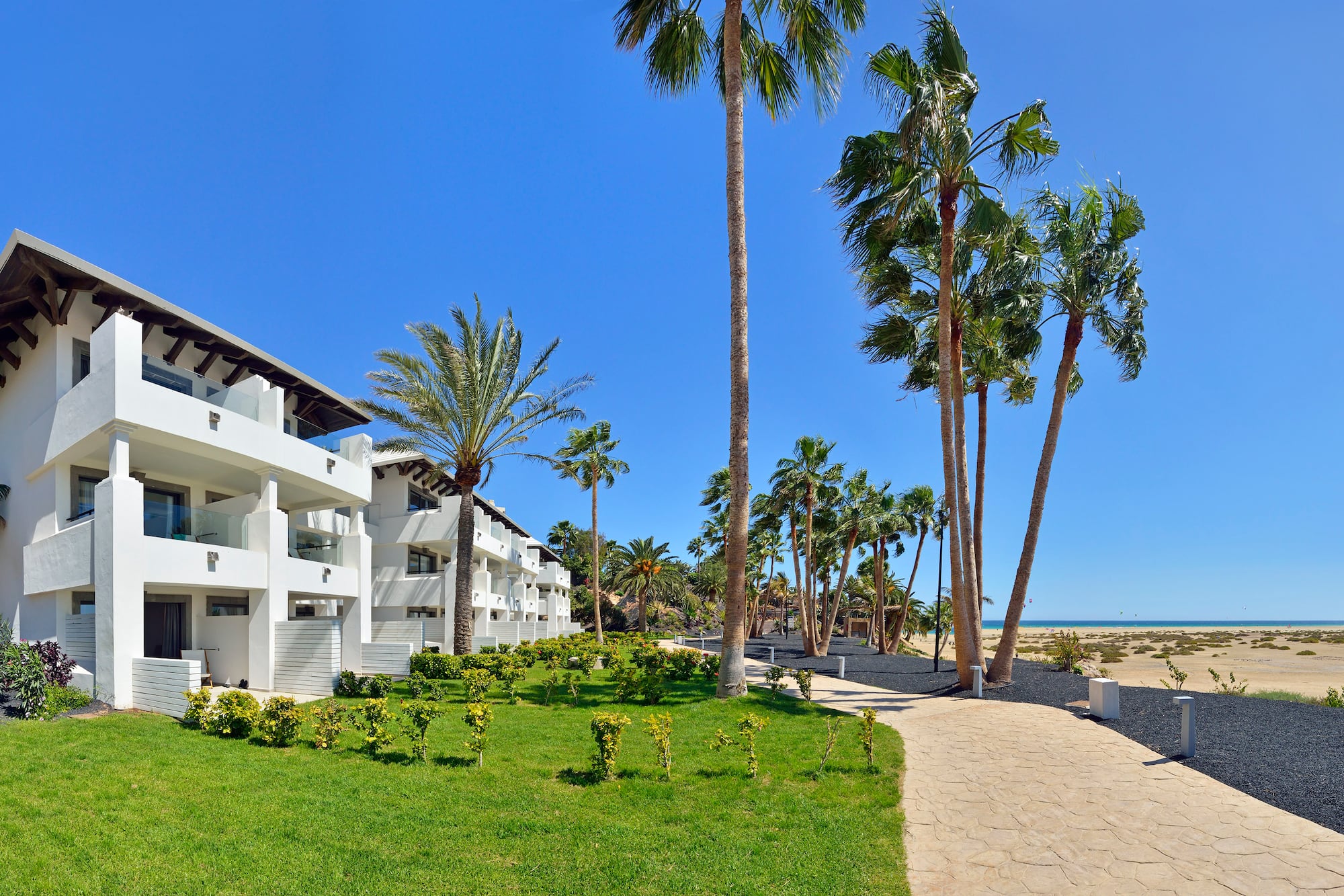 a walkway leading to a building with palm trees