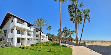 a walkway leading to a building with palm trees