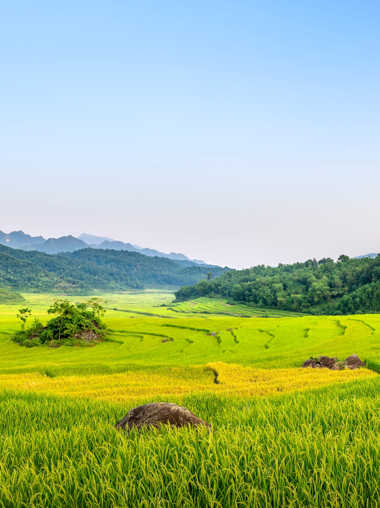 a green field with trees and mountains in the background