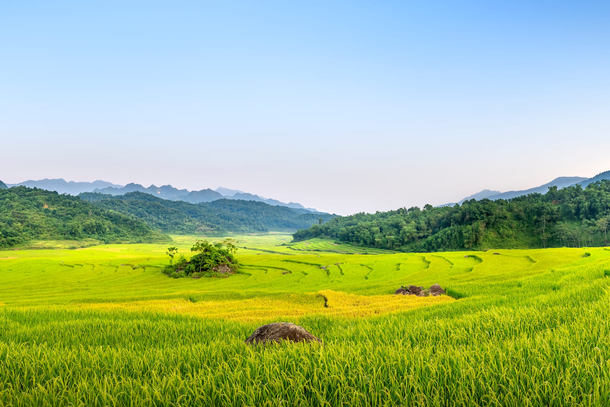a green field with trees and mountains in the background