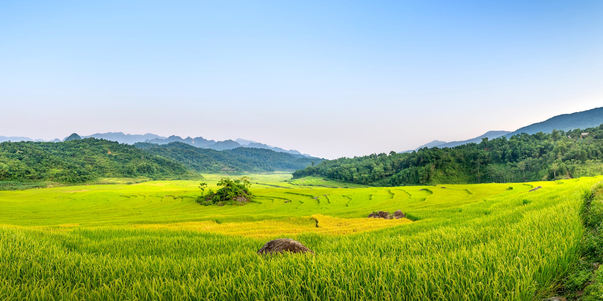a green field with trees and mountains in the background