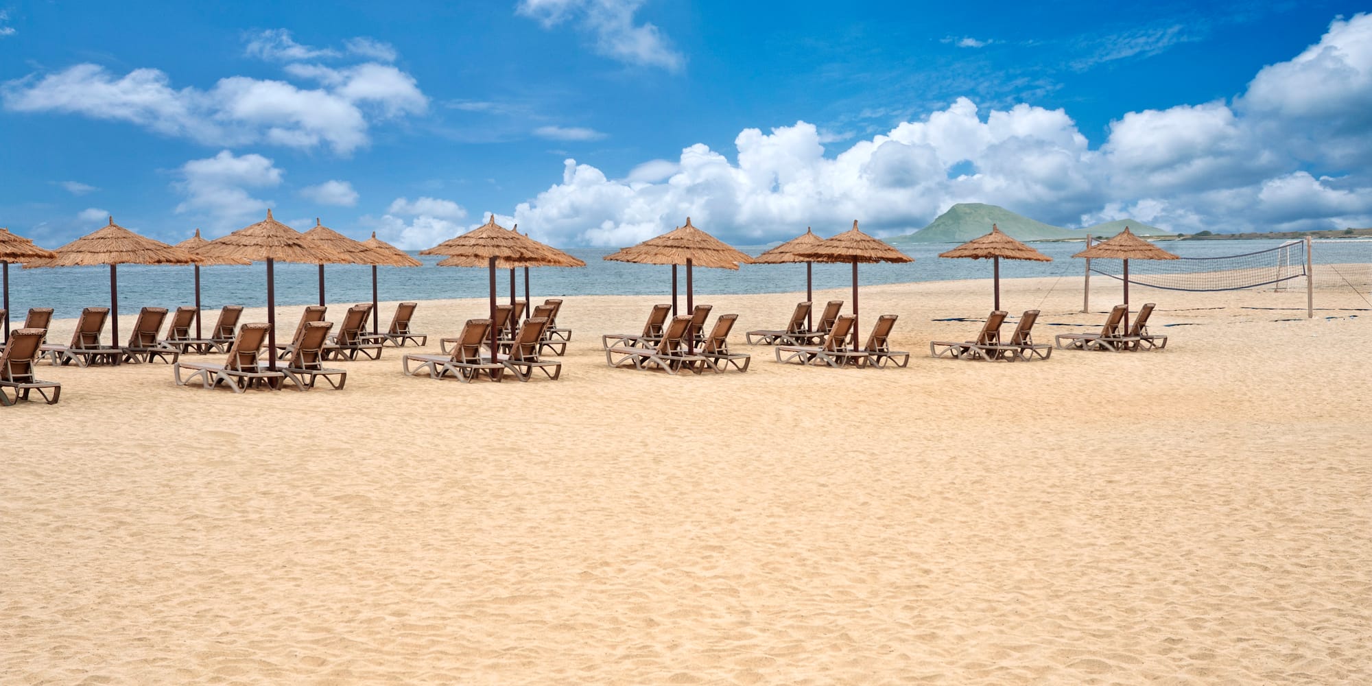 a group of chairs and umbrellas on a beach
