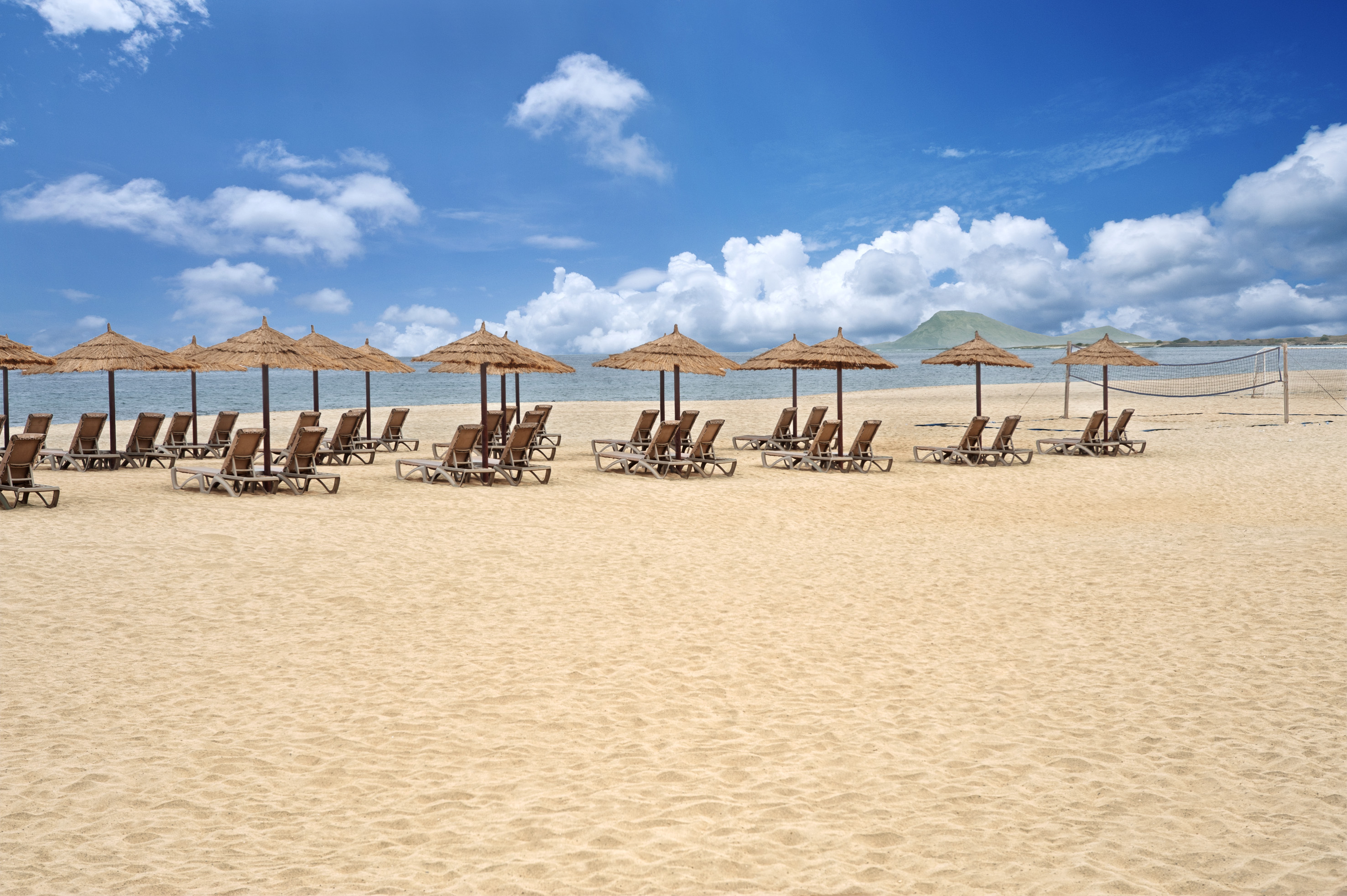 a group of chairs and umbrellas on a beach