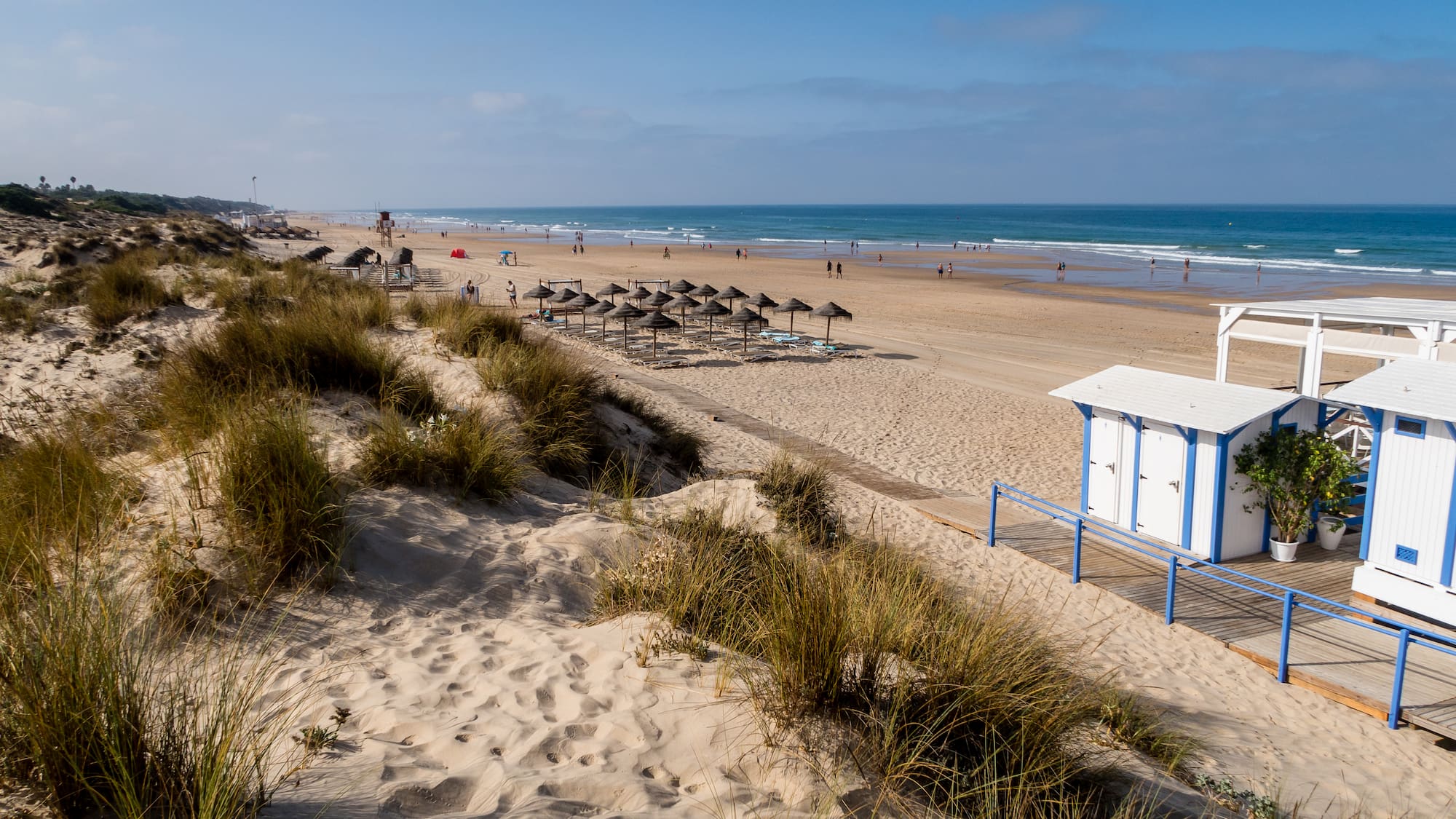 a beach with sand and grass and a small hut