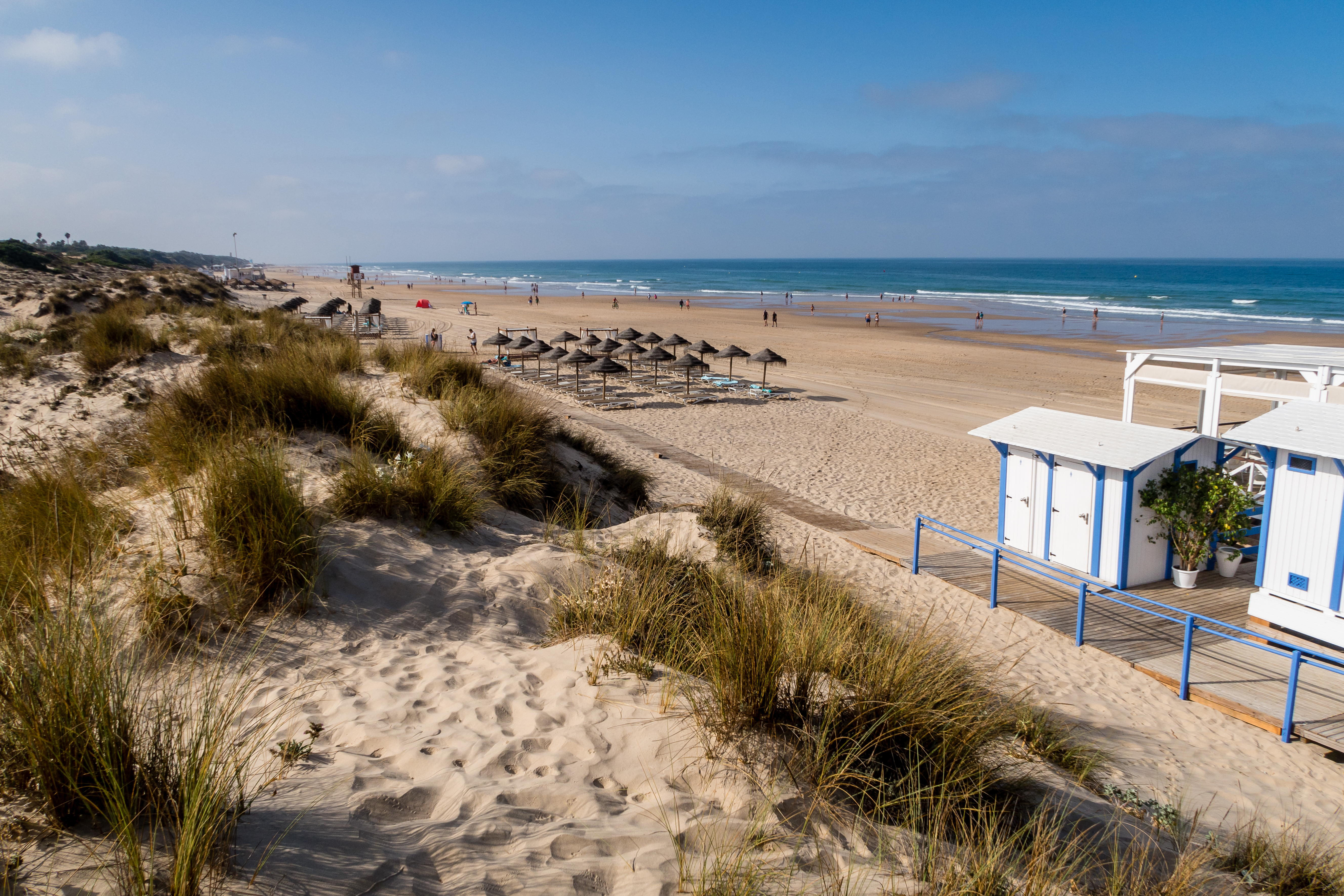 a beach with sand and grass and a small hut