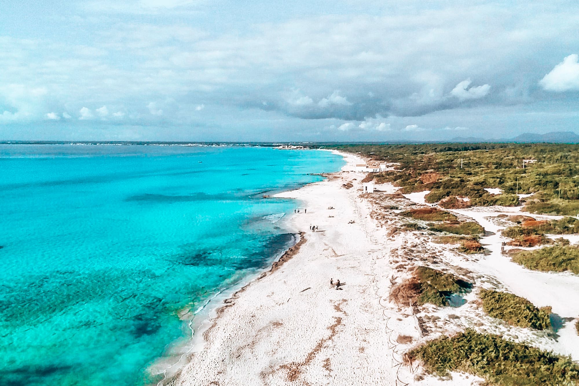 Vista aérea de playa de arena blanca y mar turquesa con vegetación.