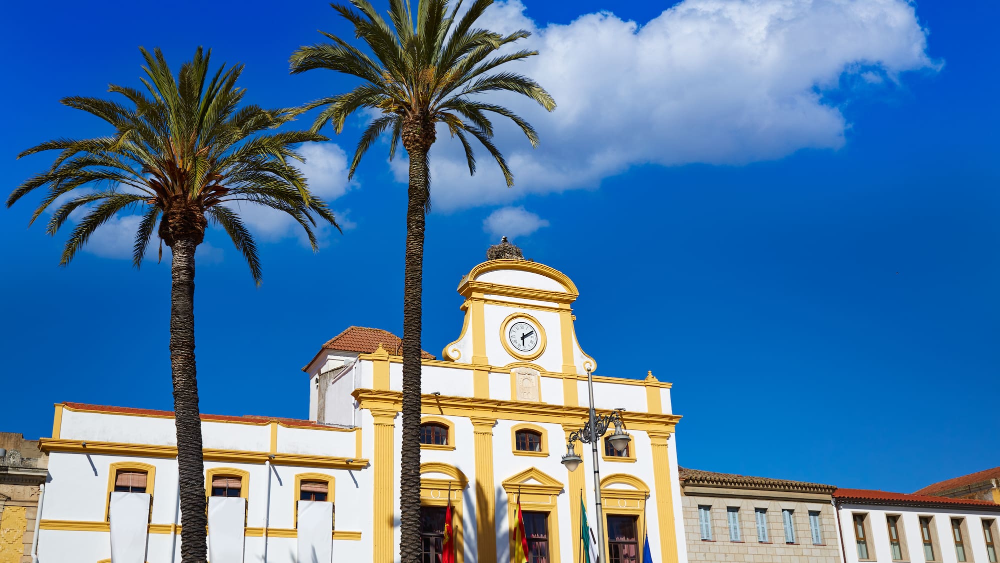 a building with palm trees and a clock
