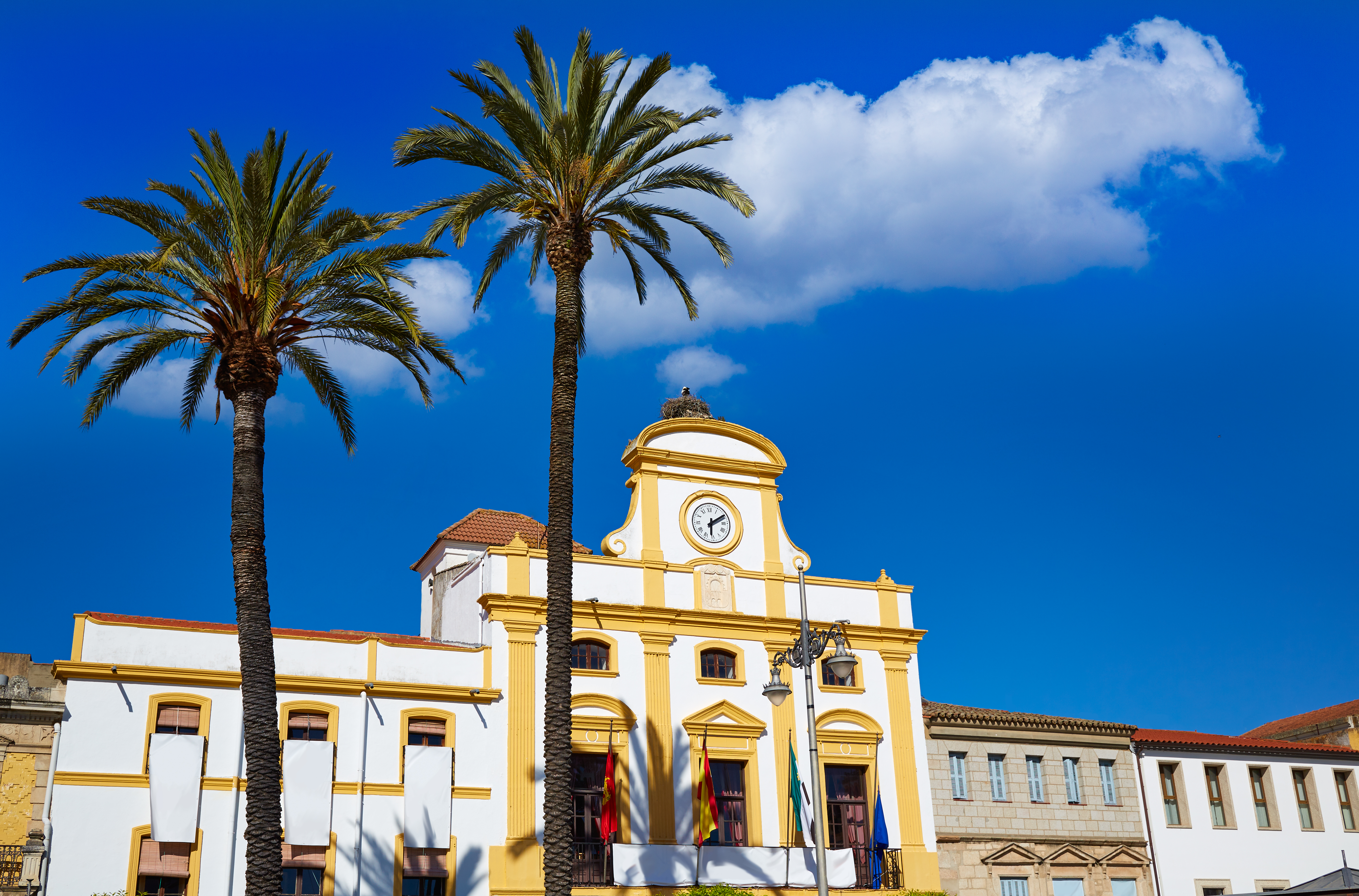 a building with palm trees and a clock