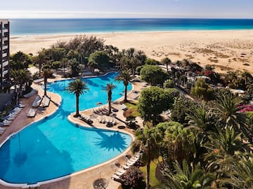 a swimming pool with palm trees and a beach