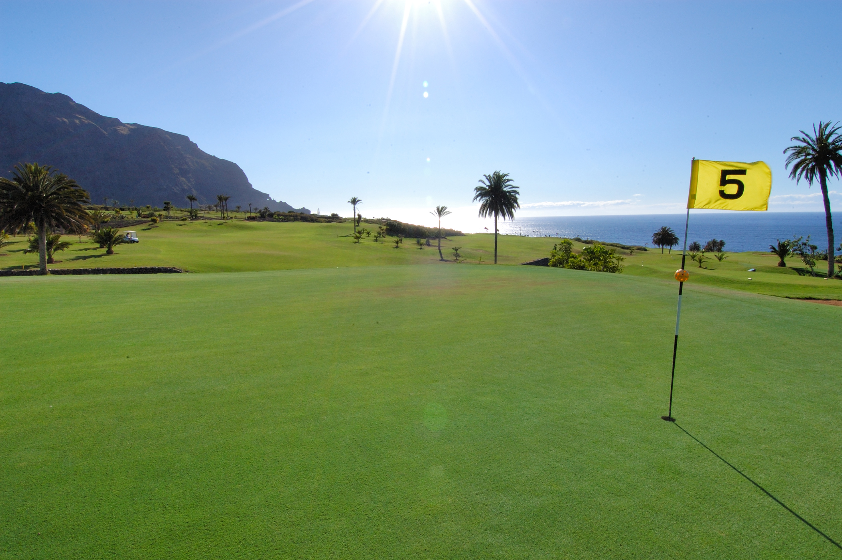 Sunny coastal golf course with 5th hole flag, palm trees, and ocean.