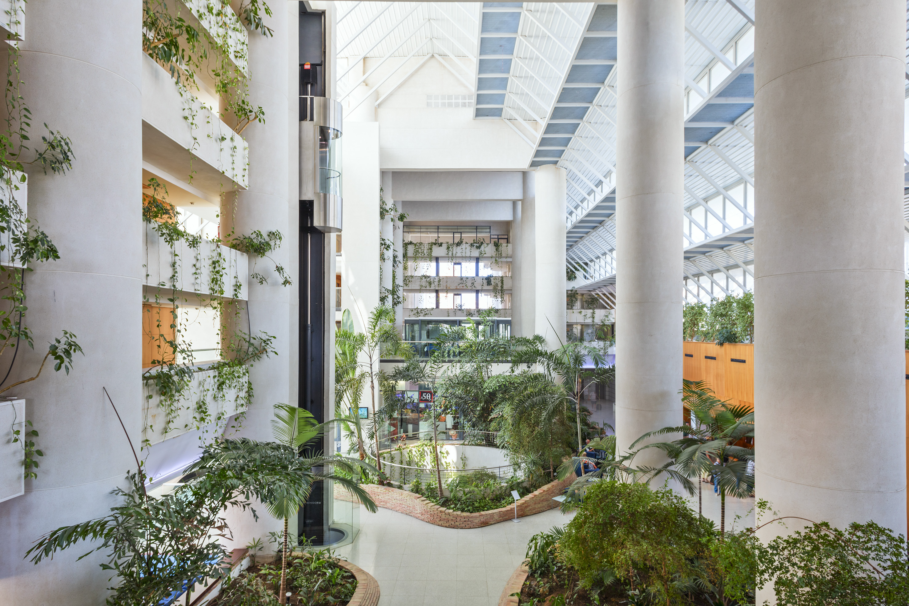 Modern building atrium with green plants, glass elevator, and skylight.