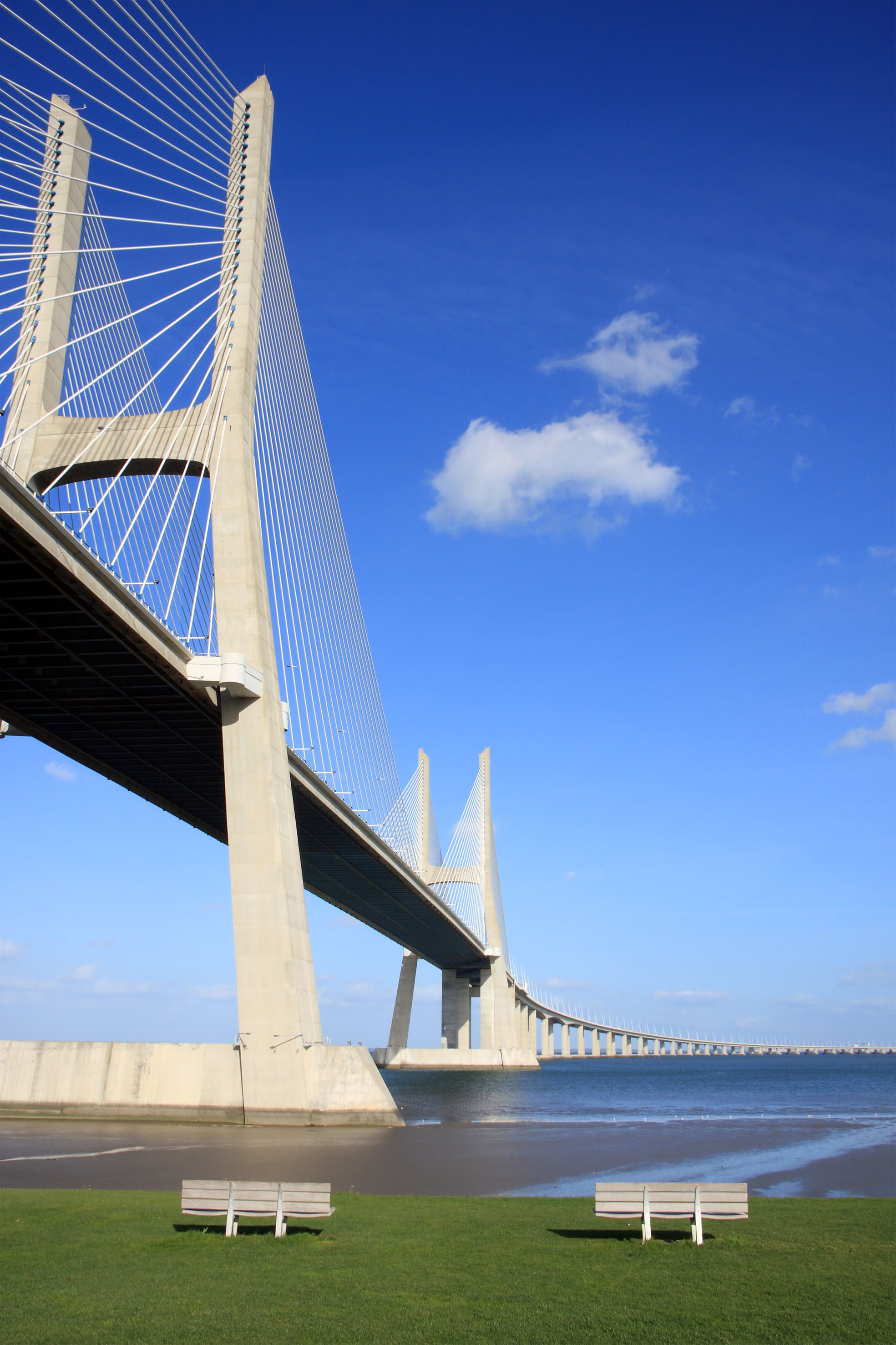 Vasco da Gama cable-stayed bridge, Lisbon. River, green grass, two park benches.