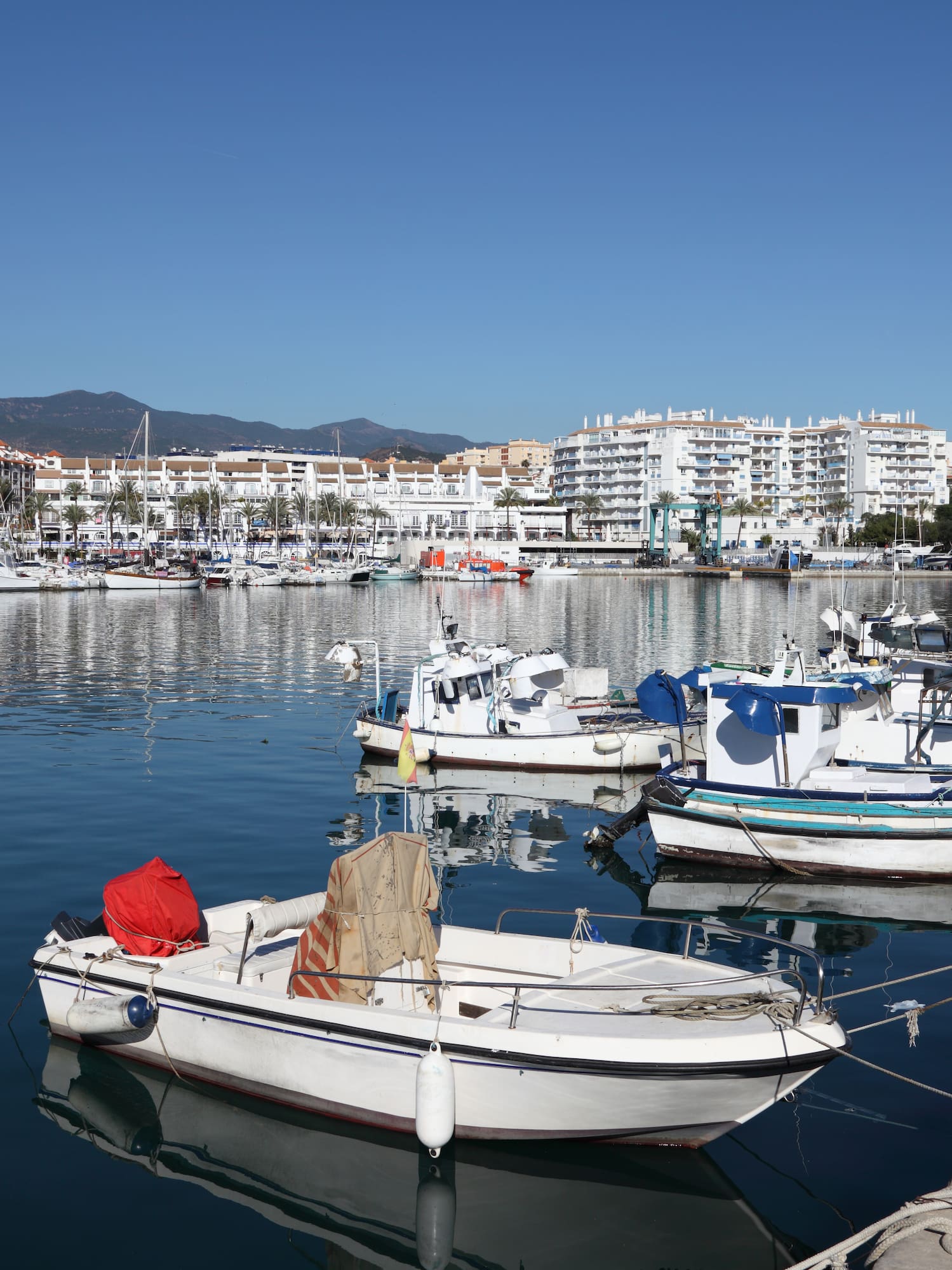 boats in a harbor with buildings in the background