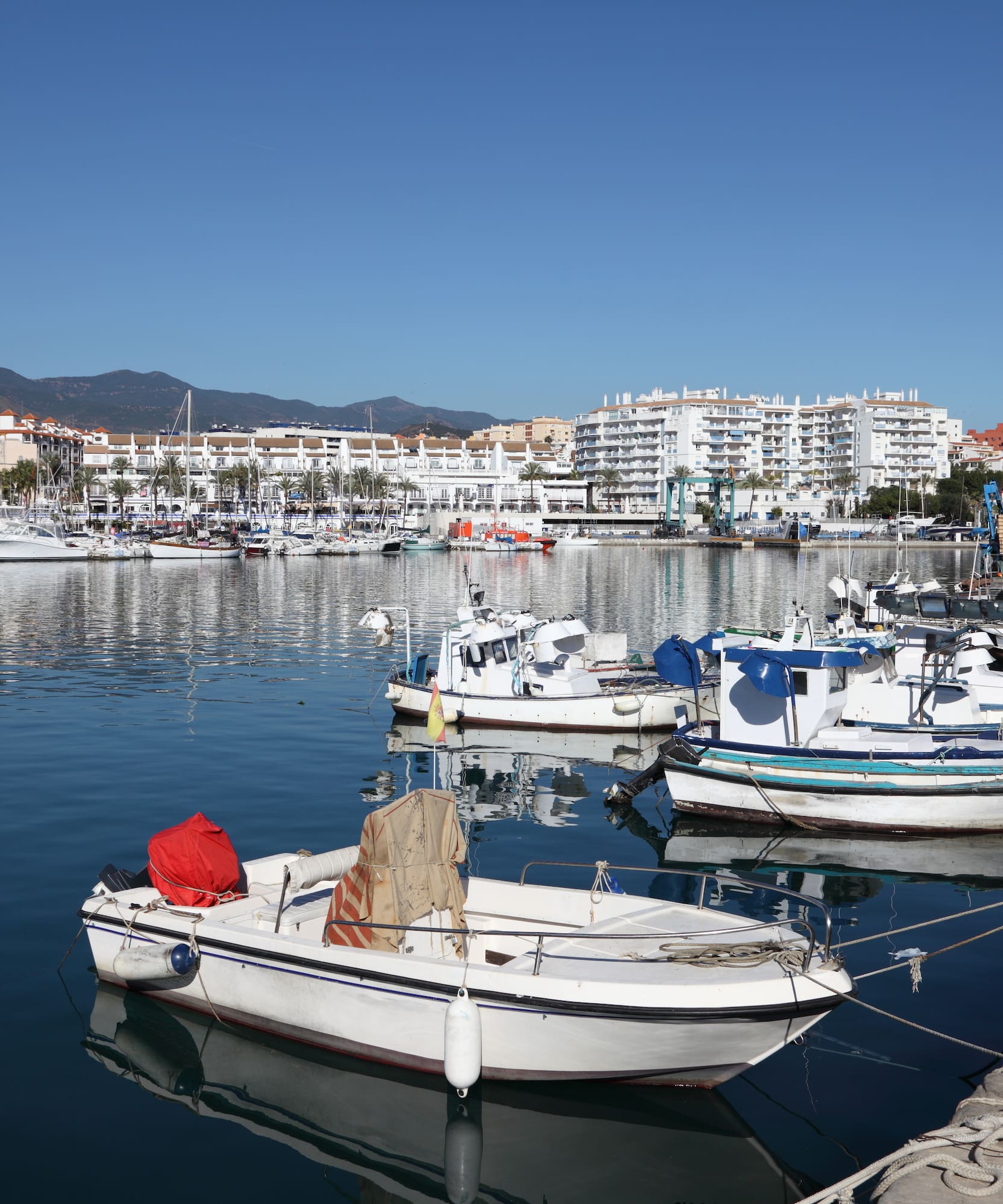boats in a harbor with buildings in the background