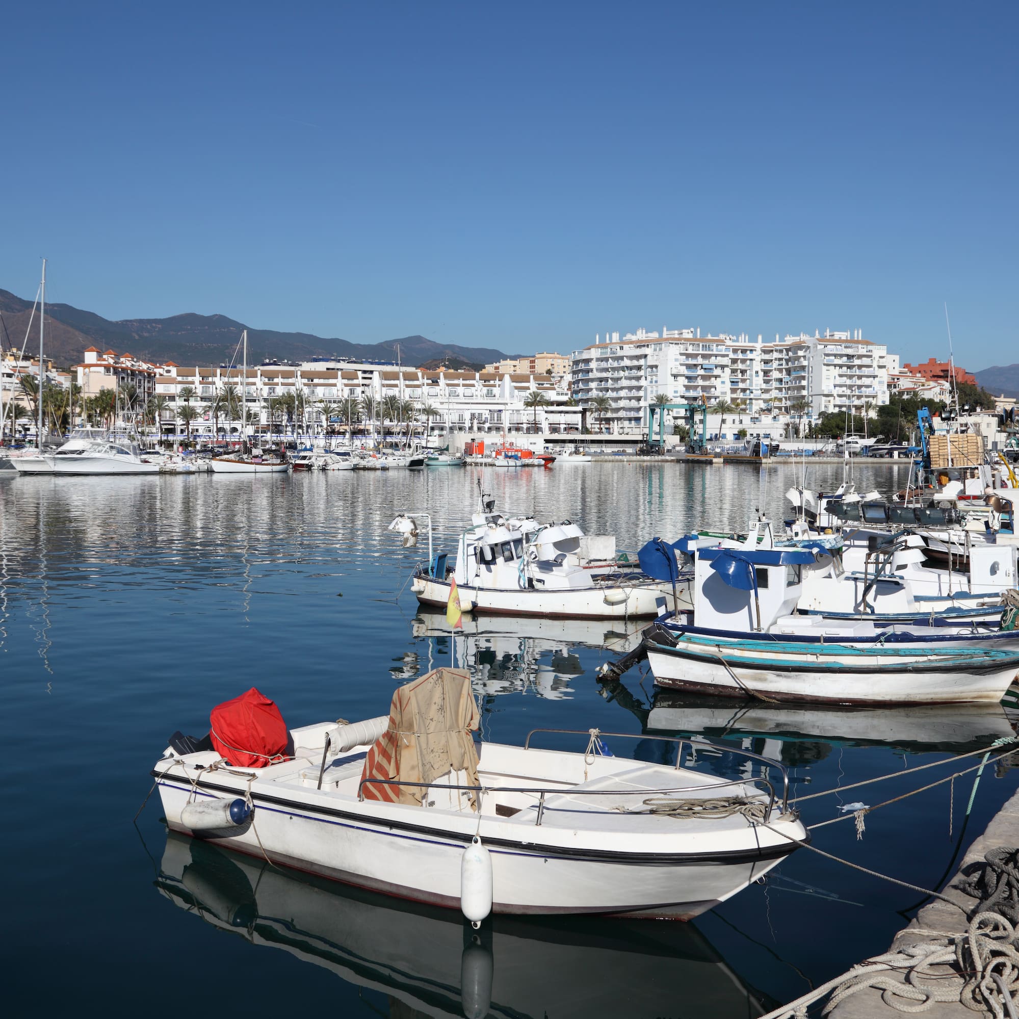 boats in a harbor with buildings in the background