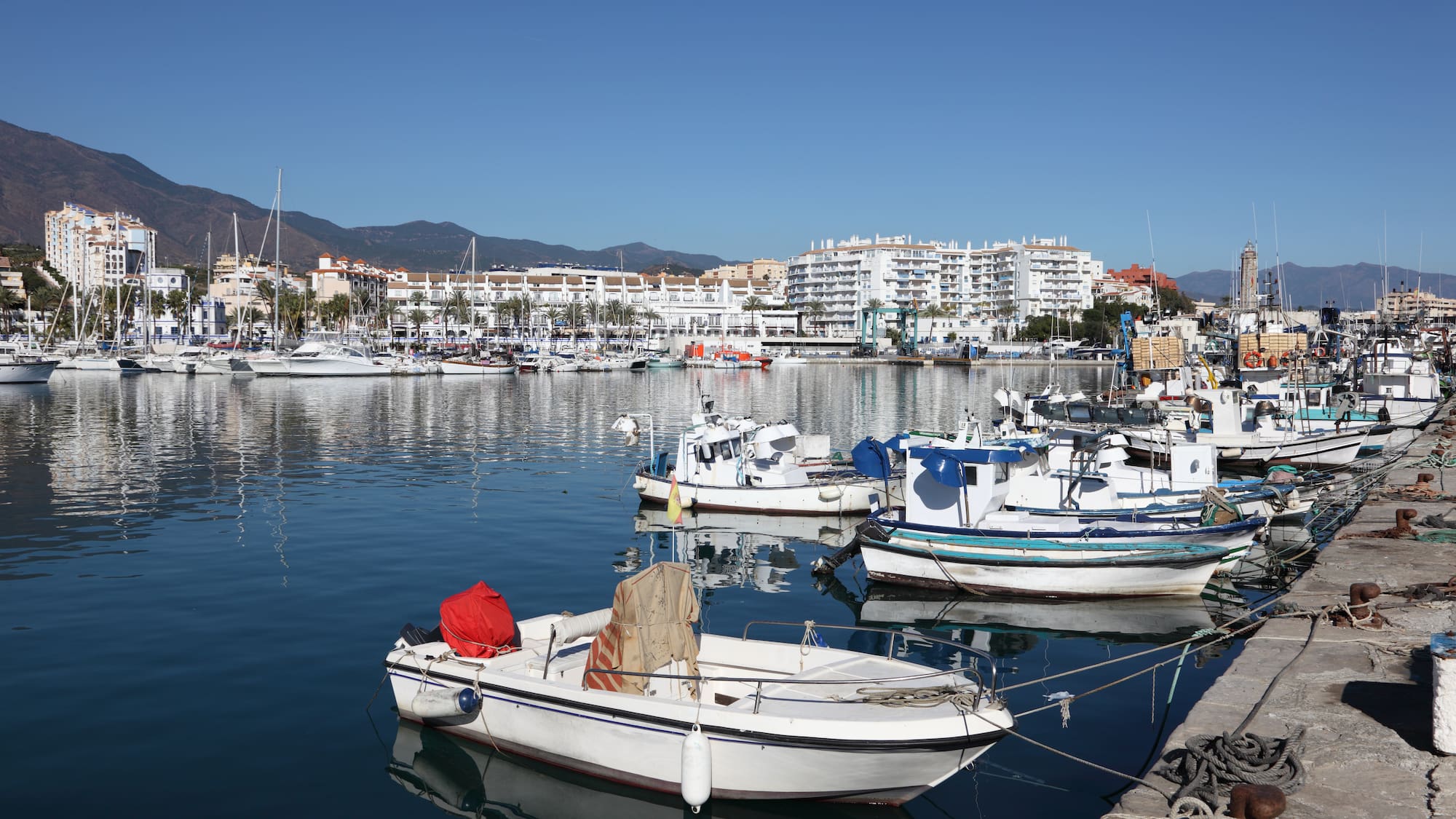 boats in a harbor with buildings in the background