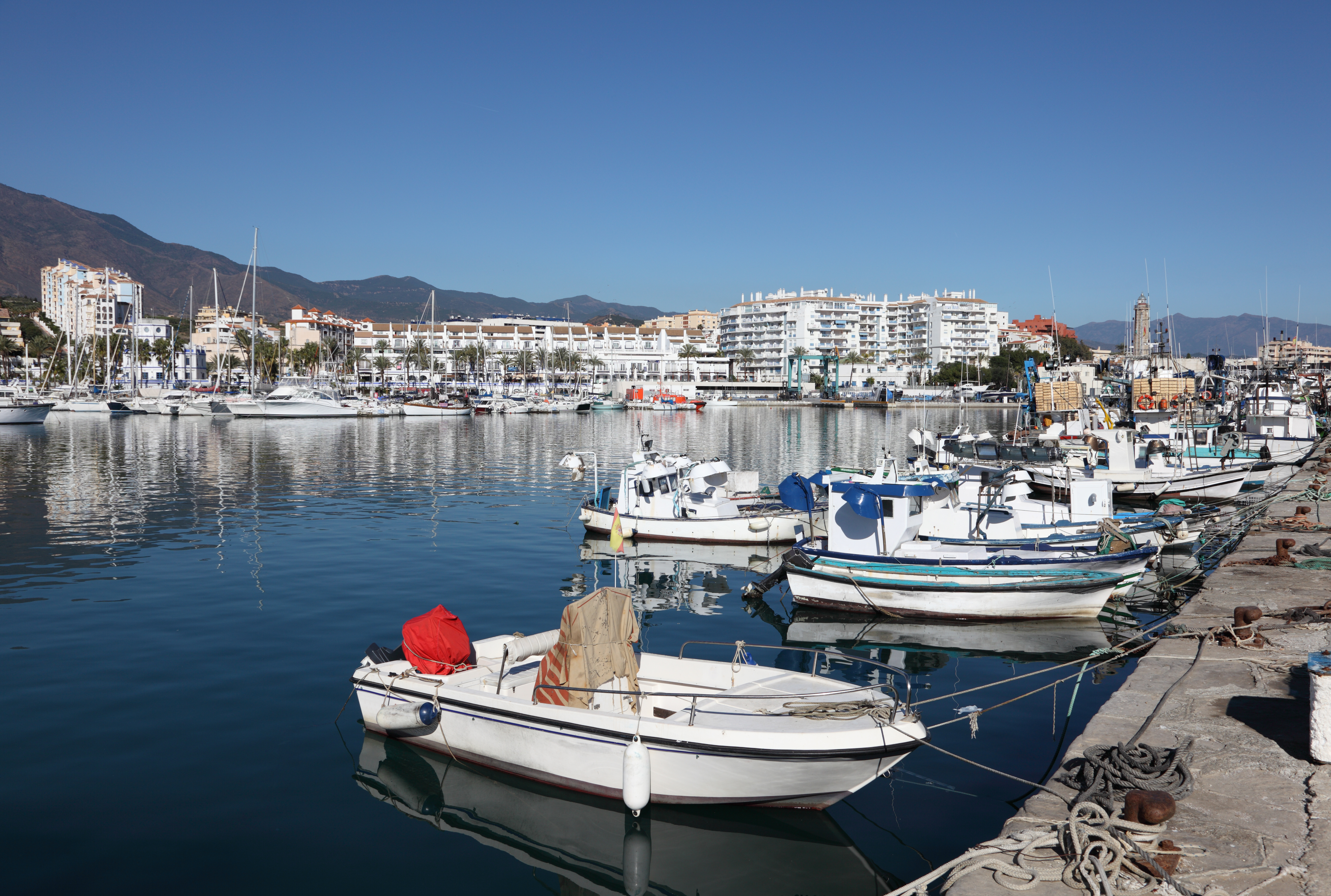 boats in a harbor with buildings in the background