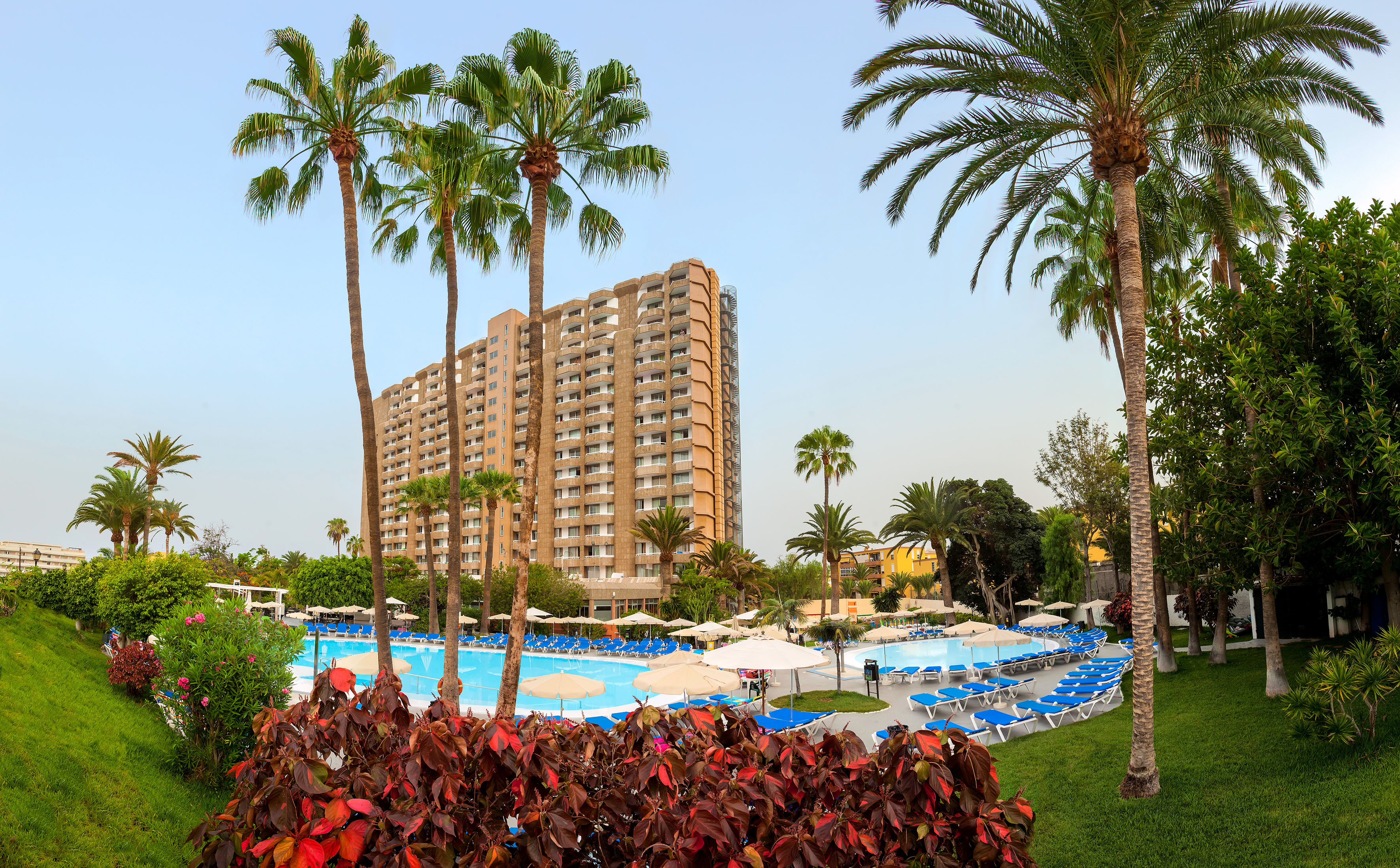 a pool with palm trees and a building in the background