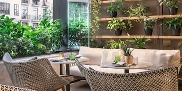 a room with a table and chairs and plants