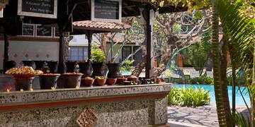 a table with pots of plants on it