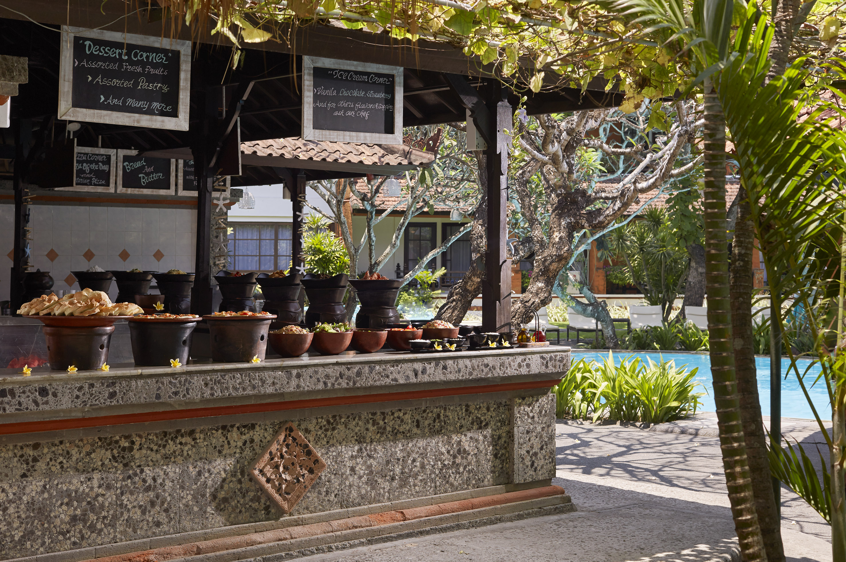 a table with pots of plants on it