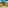 a house with trees and grass