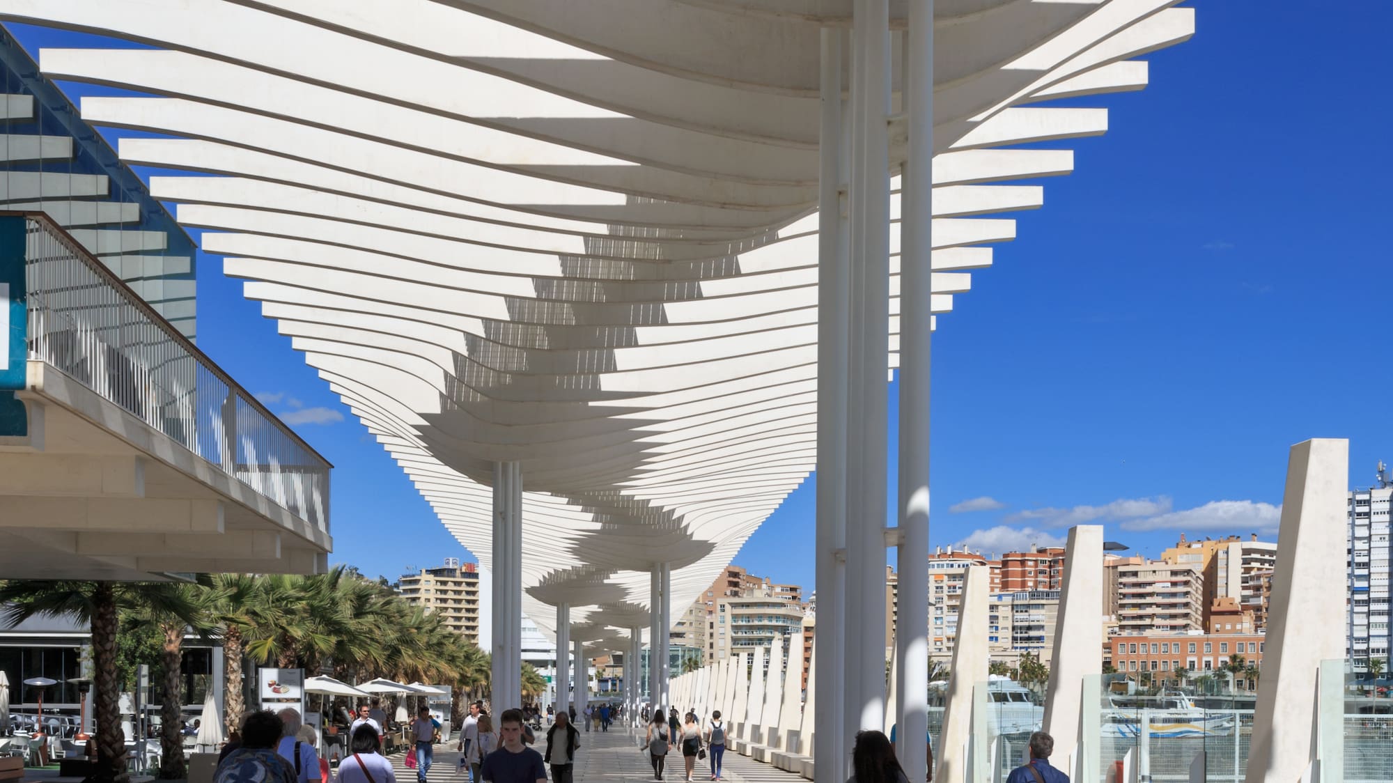 a group of people walking on a walkway