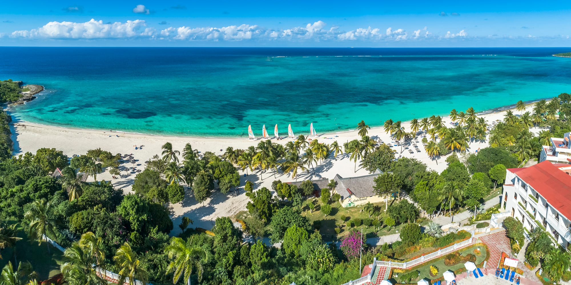 a beach with palm trees and a blue ocean