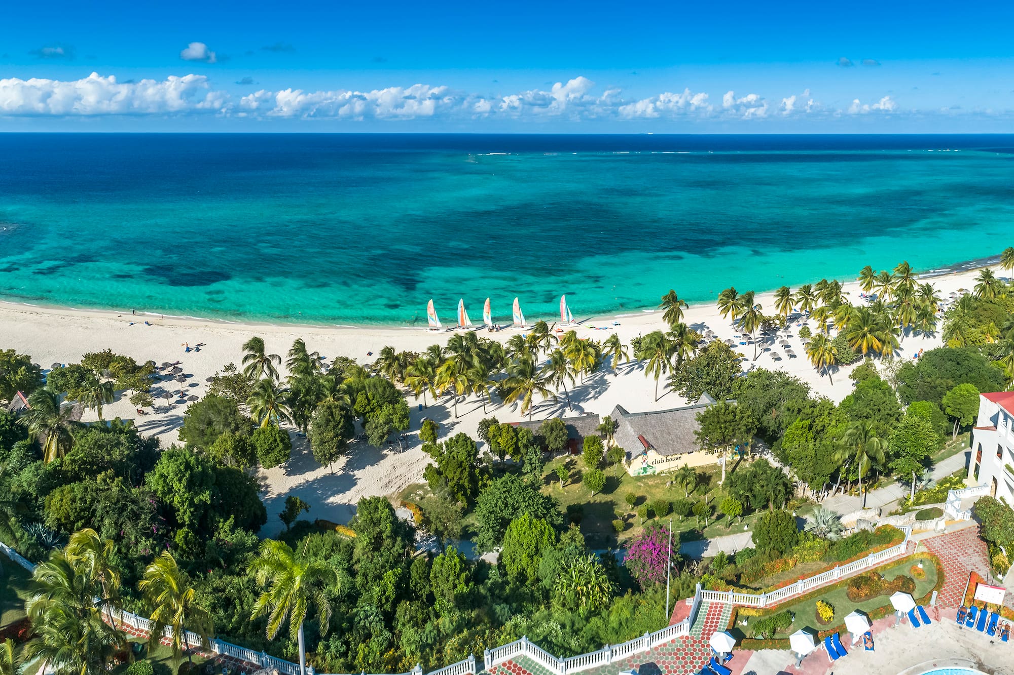 a beach with palm trees and a blue ocean