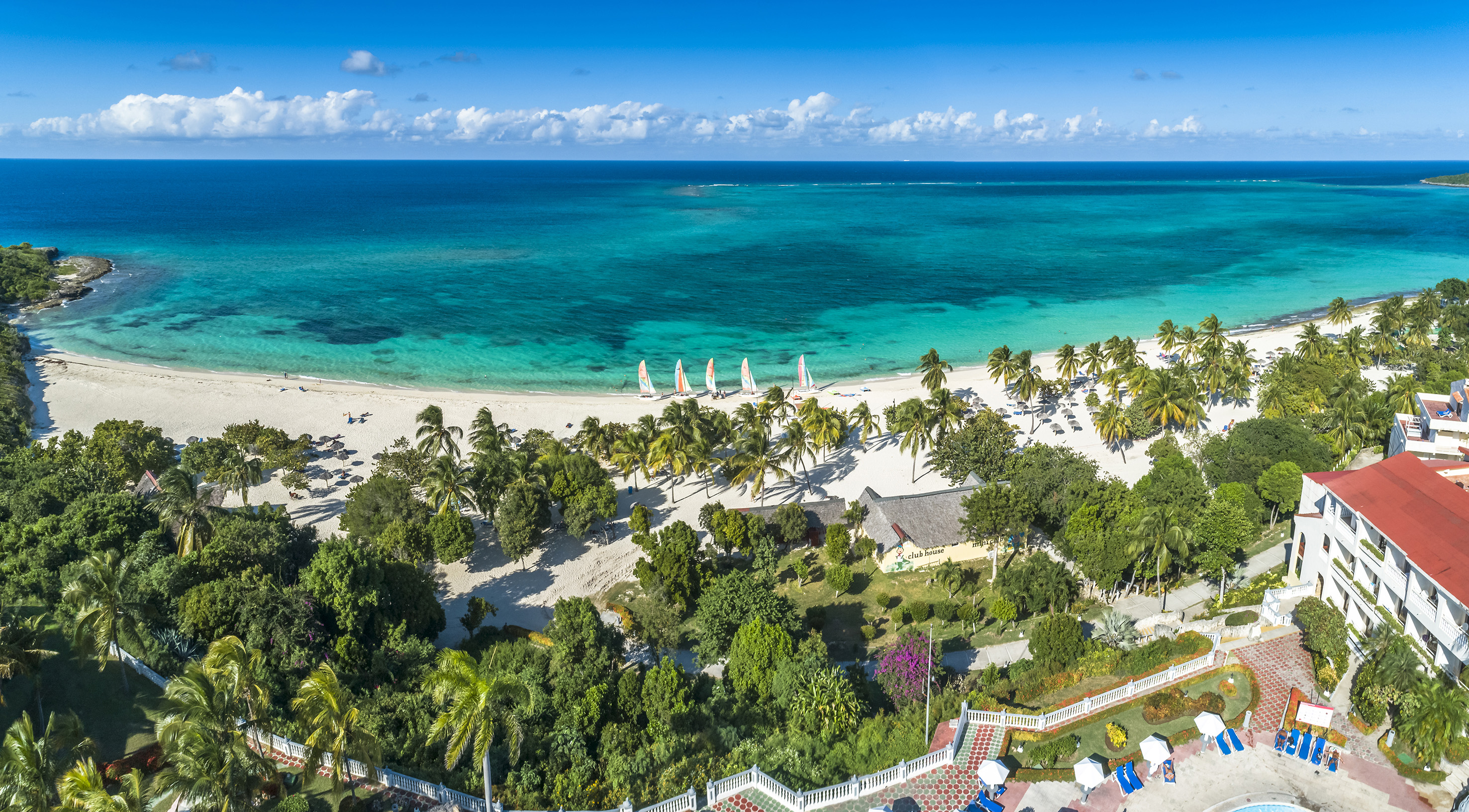 a beach with palm trees and a blue ocean
