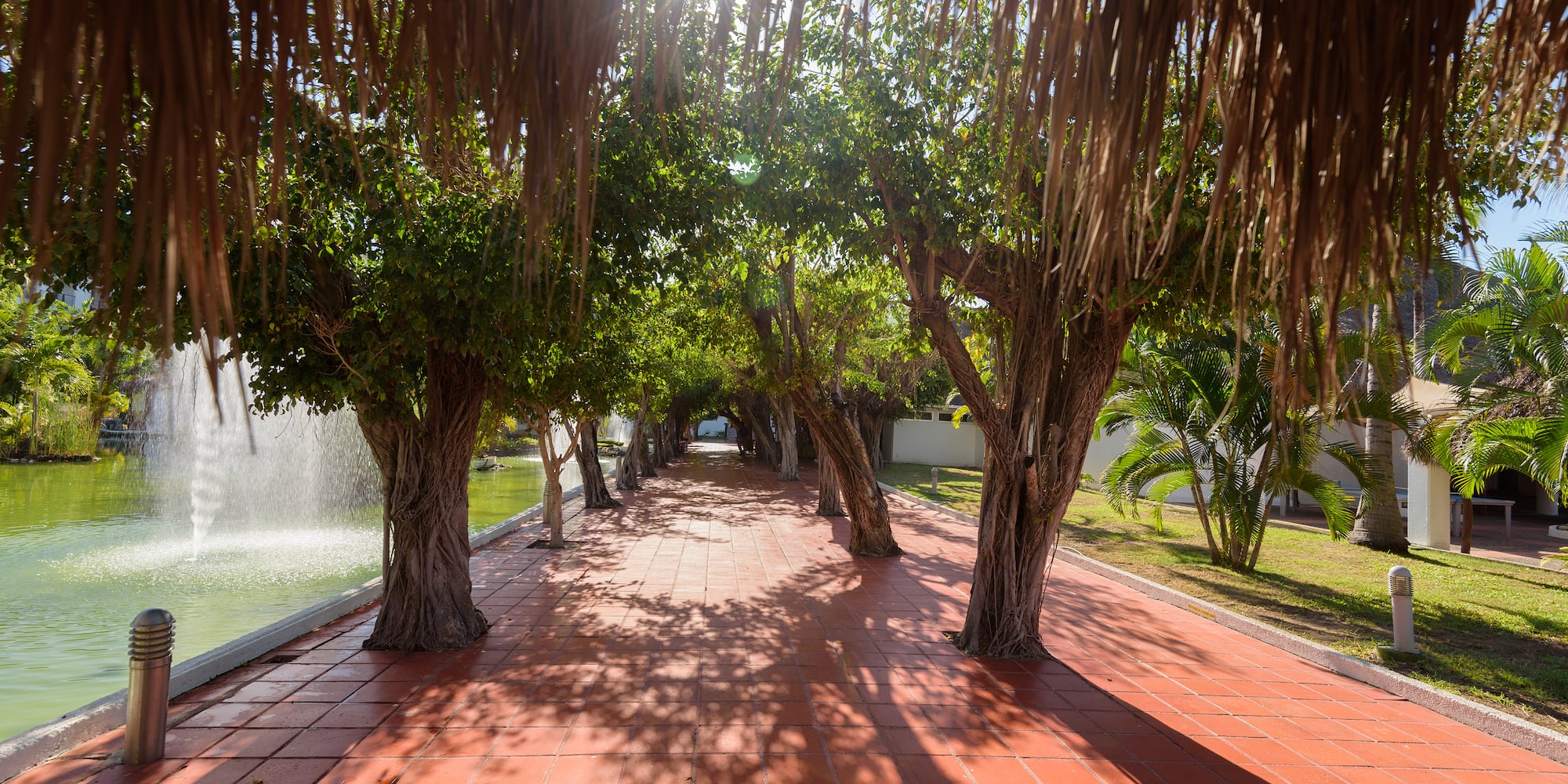 a walkway with trees and a pool