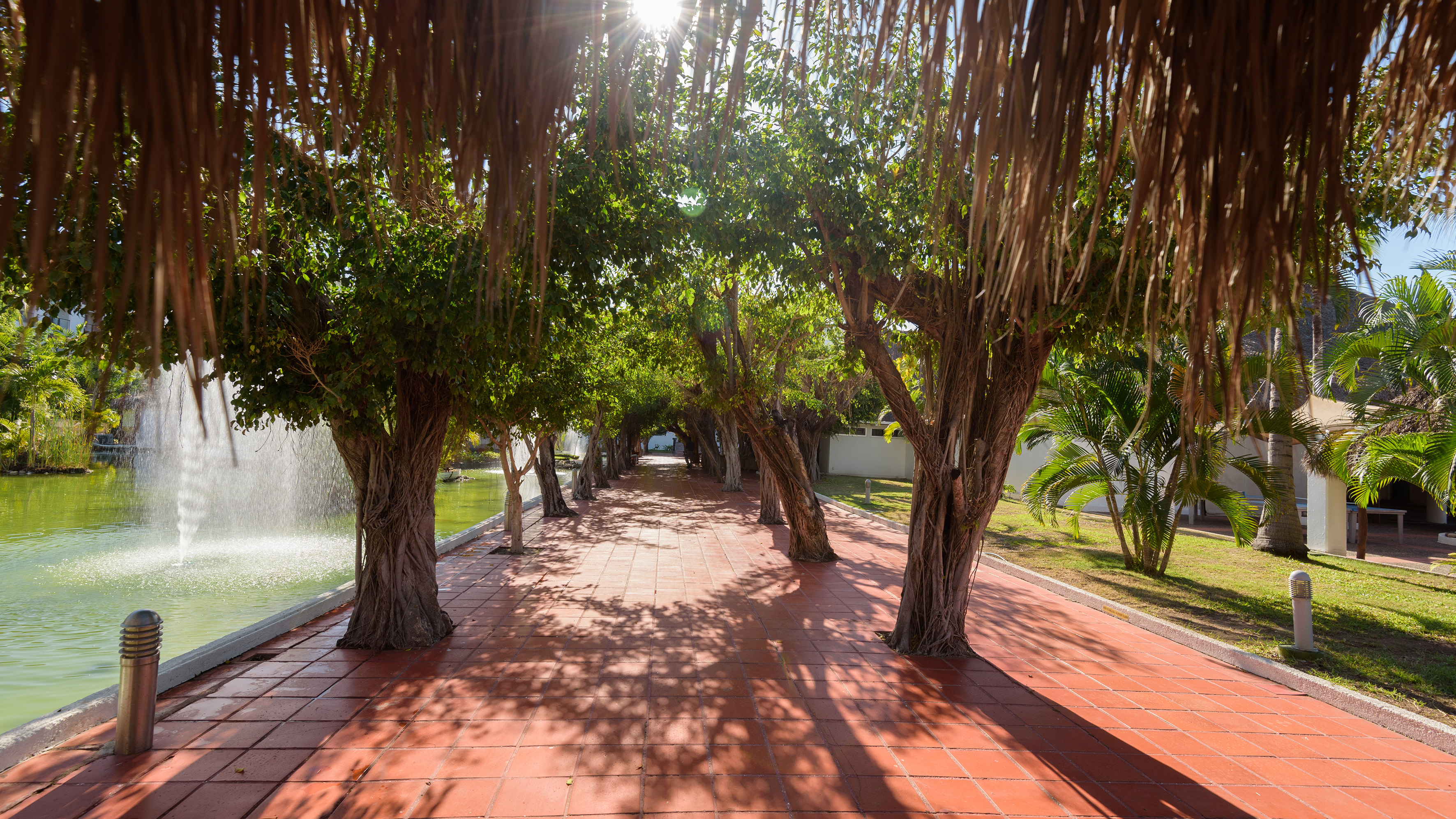 Tropical pathway lined with green trees, fountain, and sunlit red tiles.