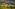 a landscape with trees and fields