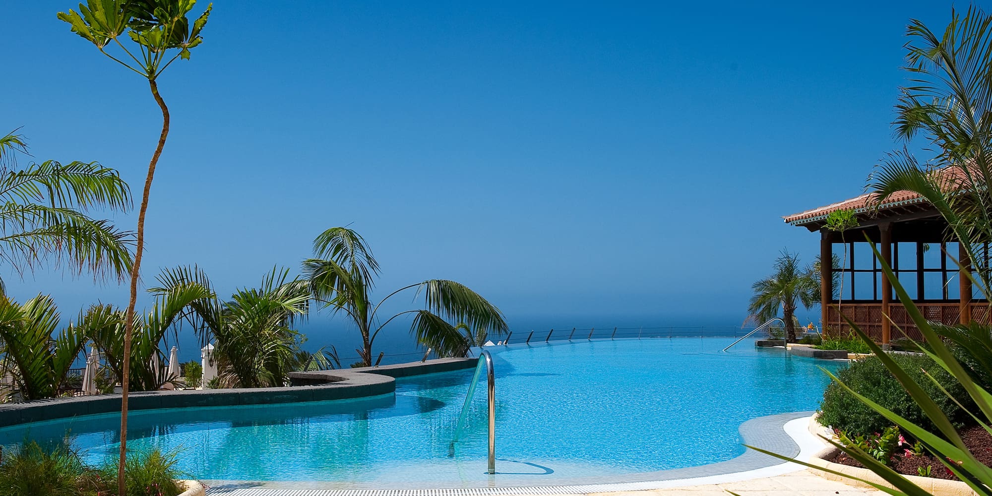 a pool with a body of water and palm trees