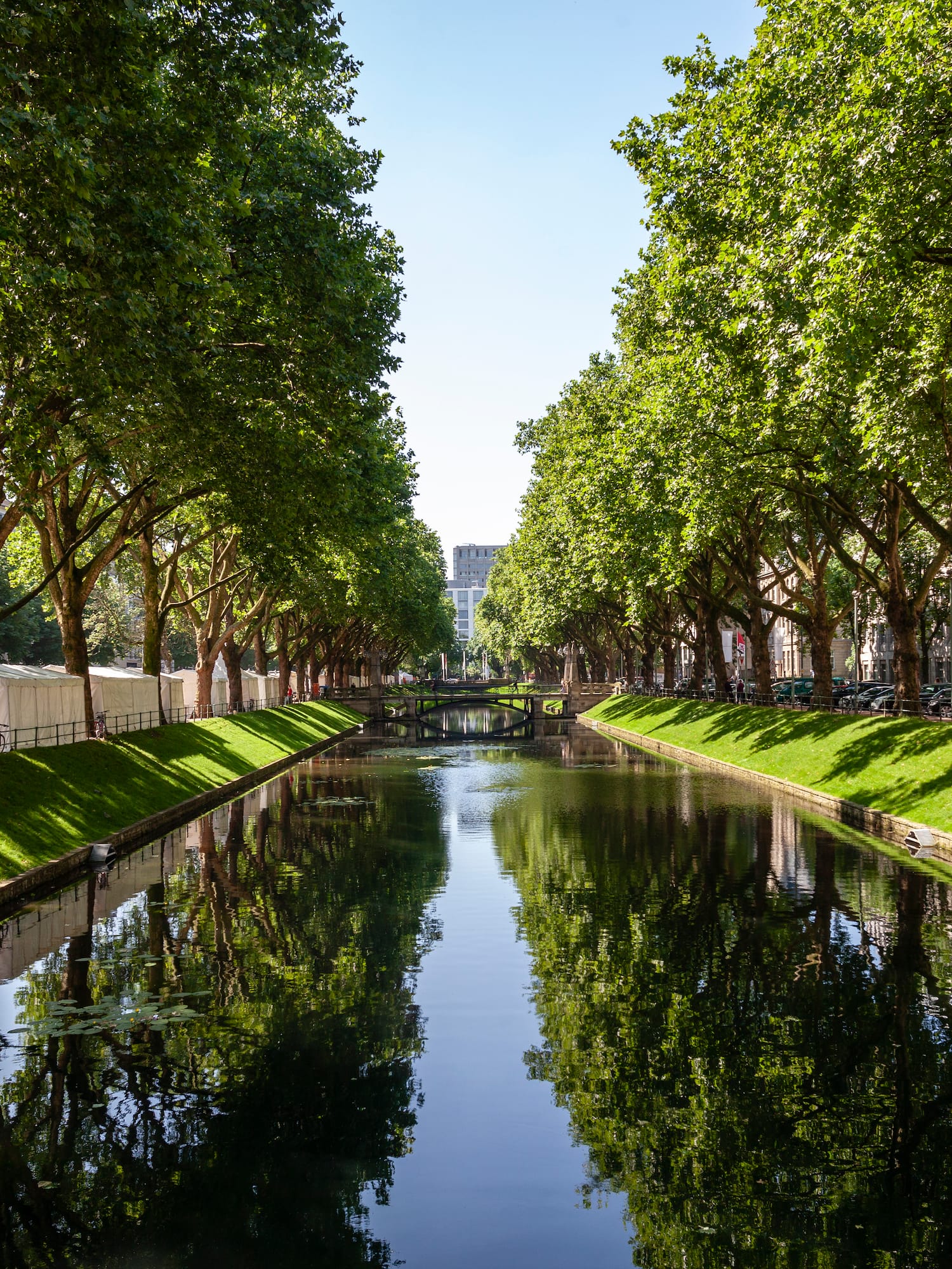 a water way with trees and grass
