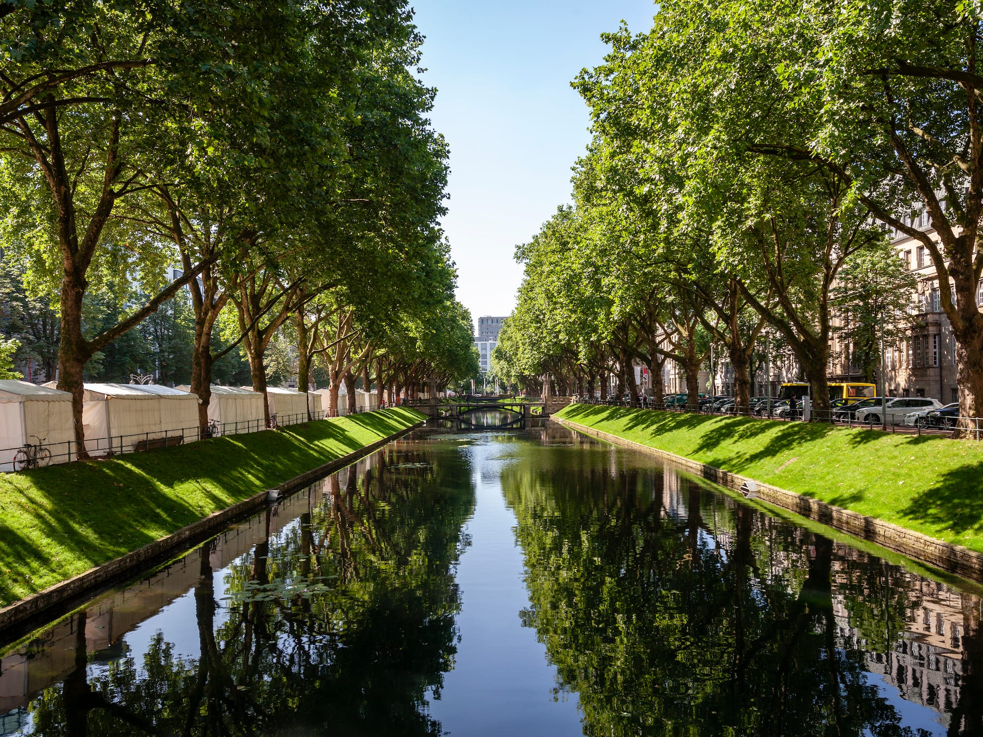 a water way with trees and grass