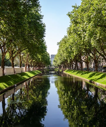 a water way with trees and grass