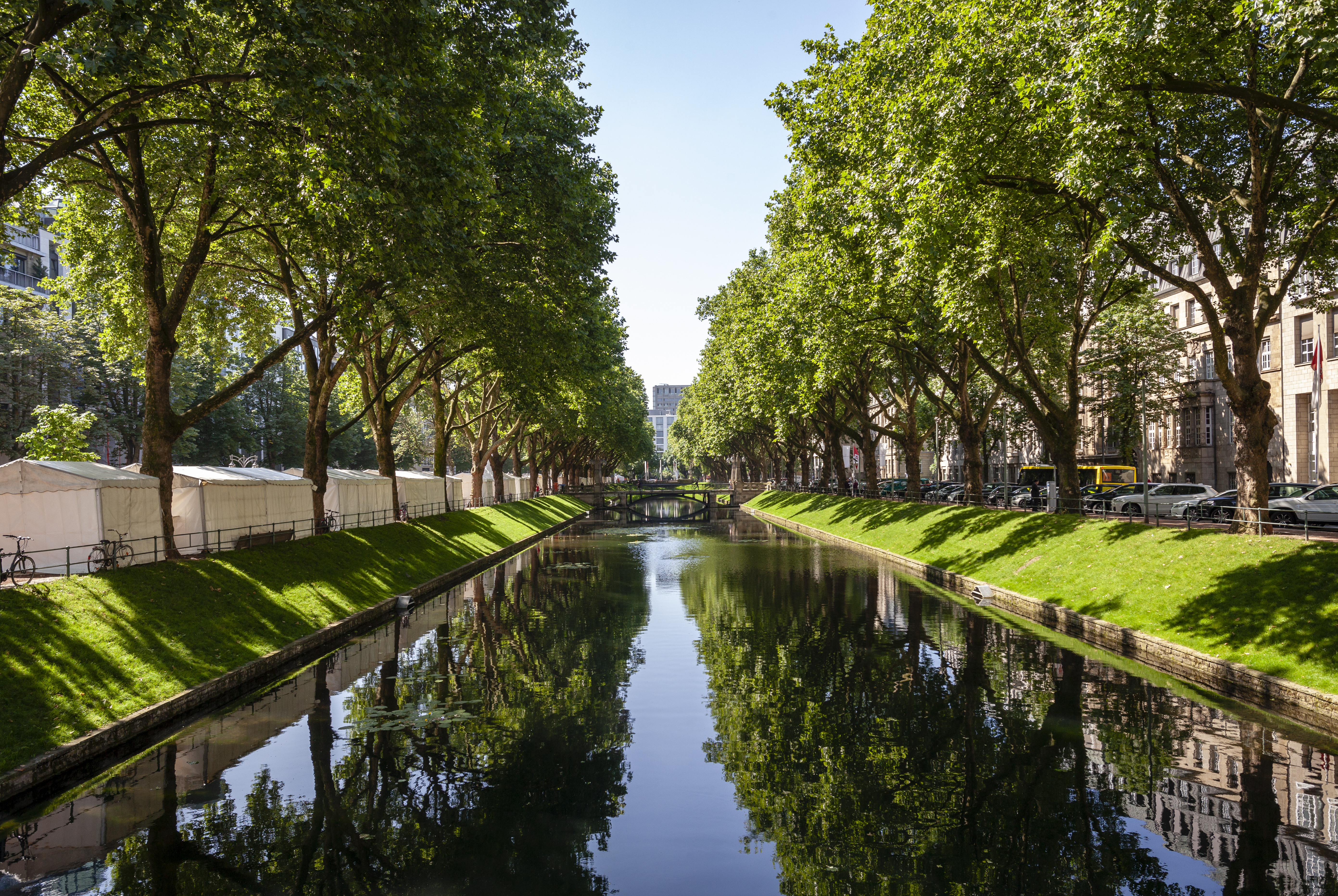 Lush green trees lining a city canal with reflections, Königsallee, Düsseldorf