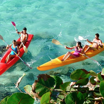 a group of people in kayaks on the water