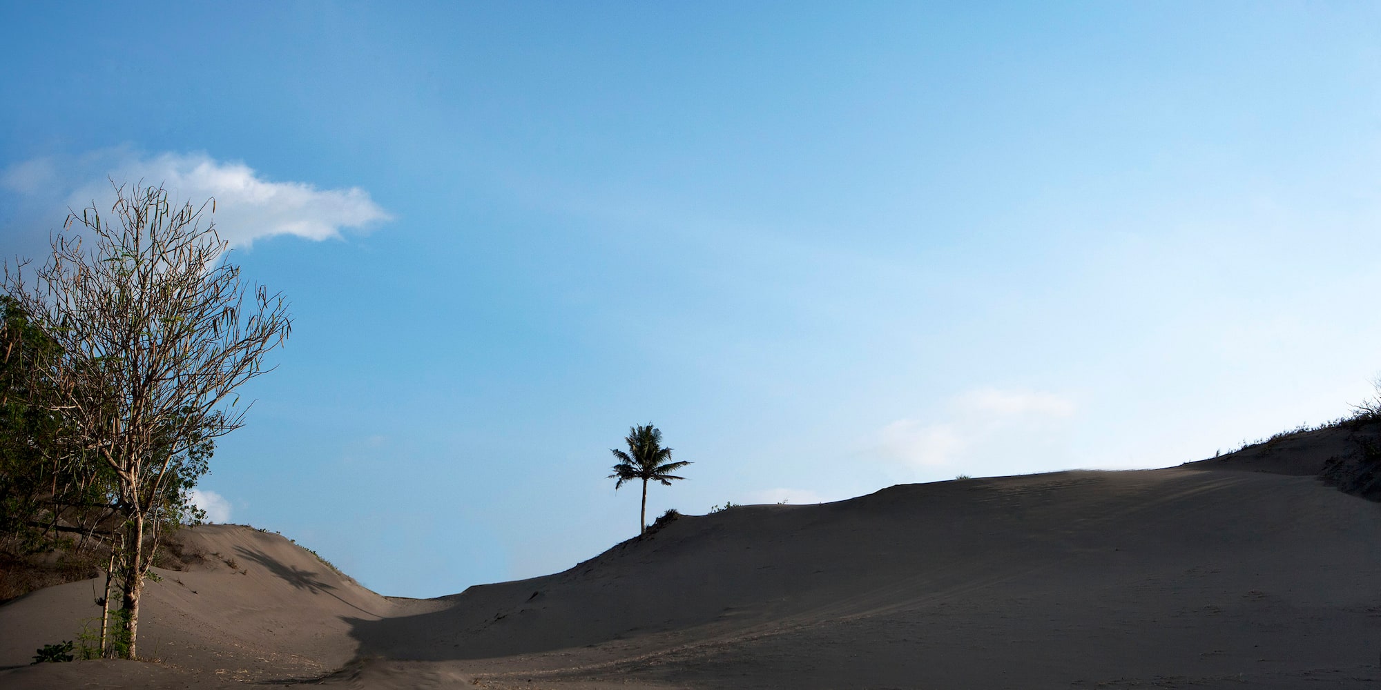 a sand dune with trees in the background