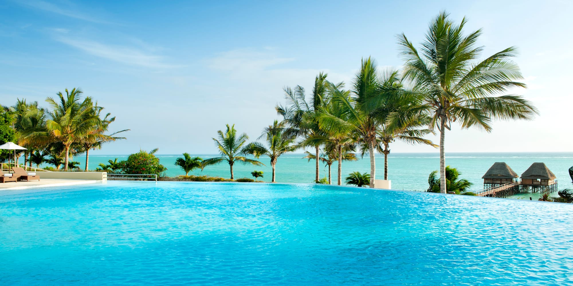 a pool with palm trees and a body of water