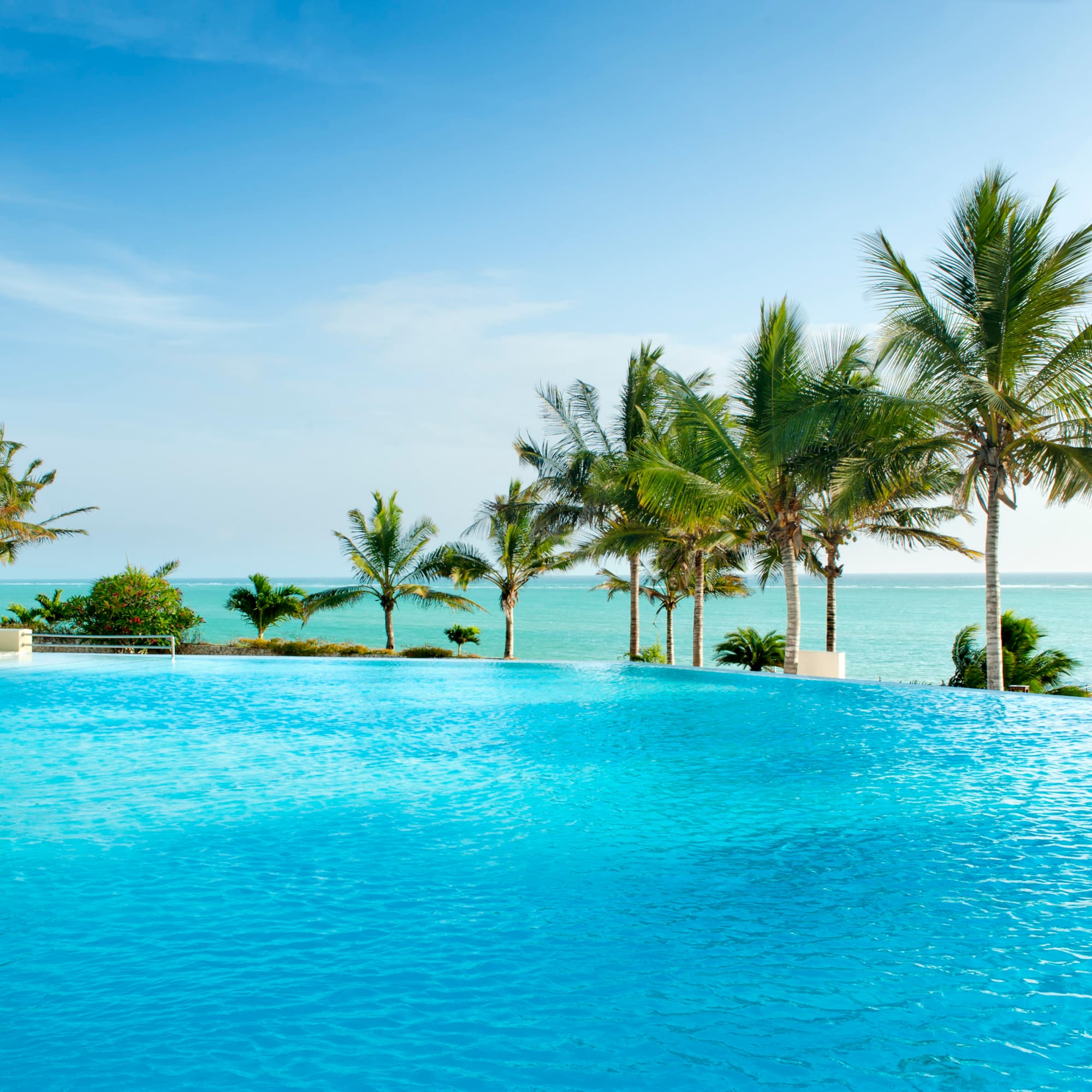 a pool with palm trees and a body of water