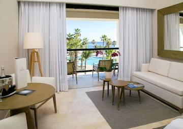 a room with a view of the ocean and palm trees