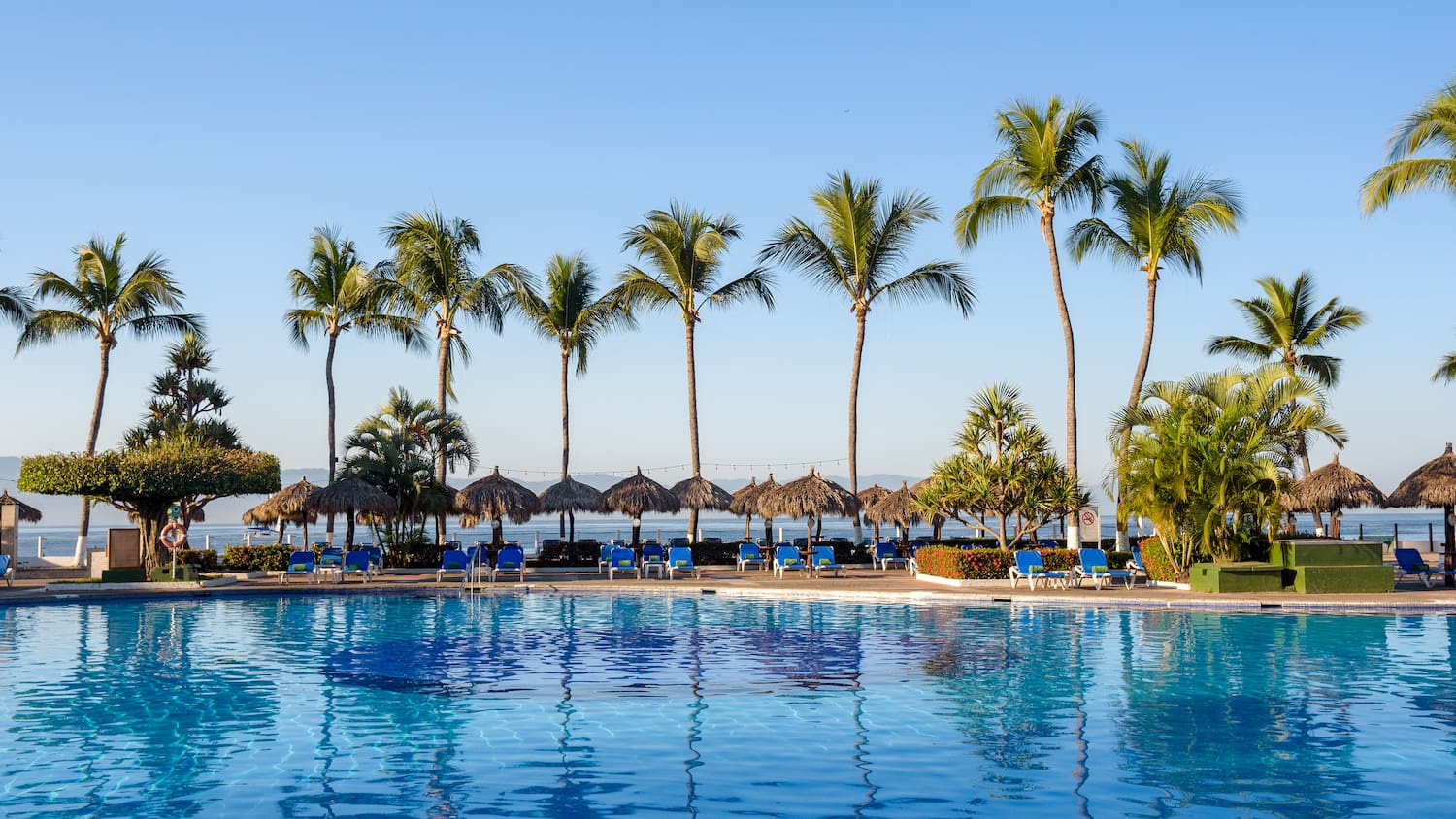a pool with palm trees and chairs